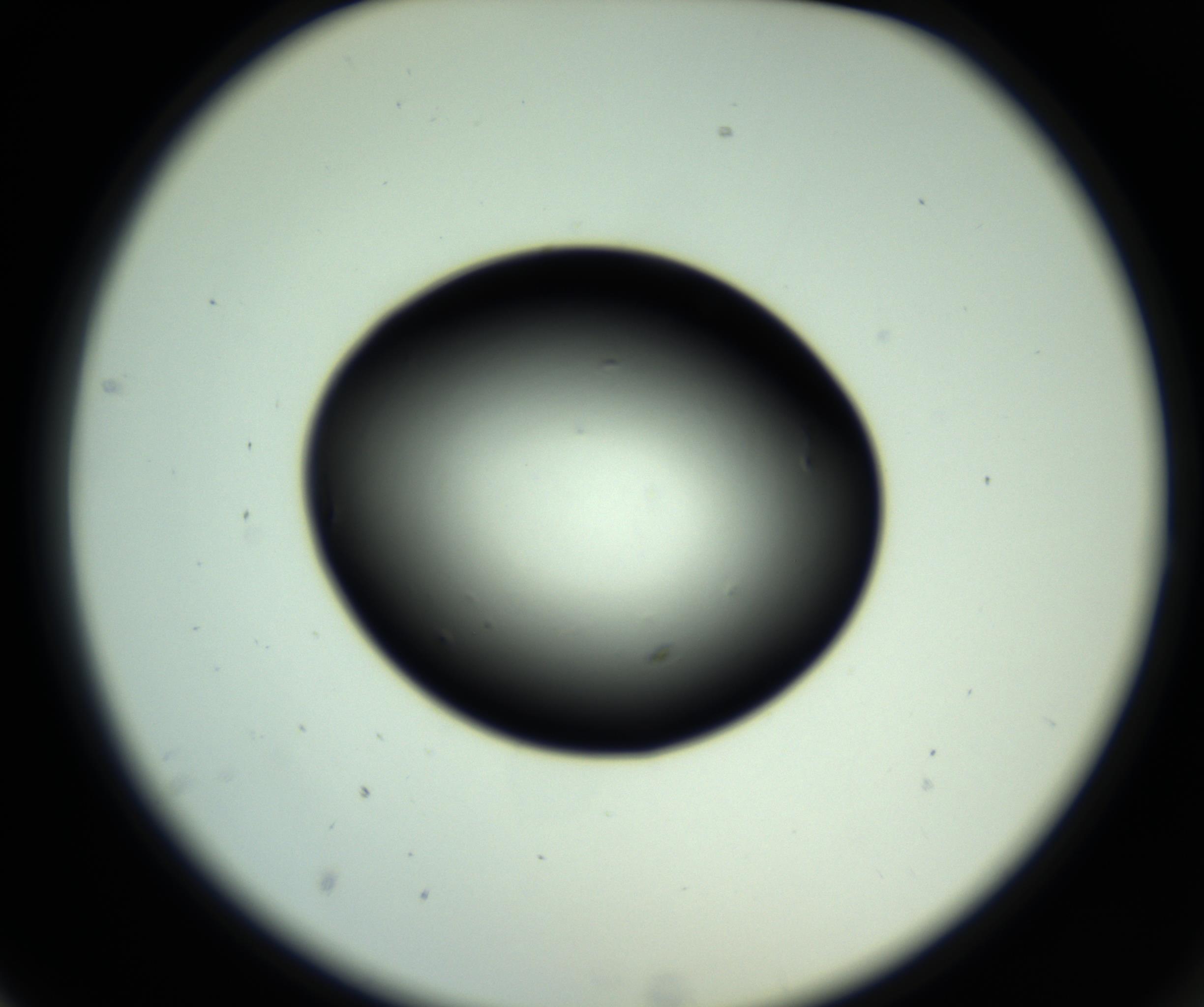 RI01_03_000_0212_Proj1_Clon1_MC_0000MC102810_006_161013_02_02_02_00_98_002_001_RAI.jpg