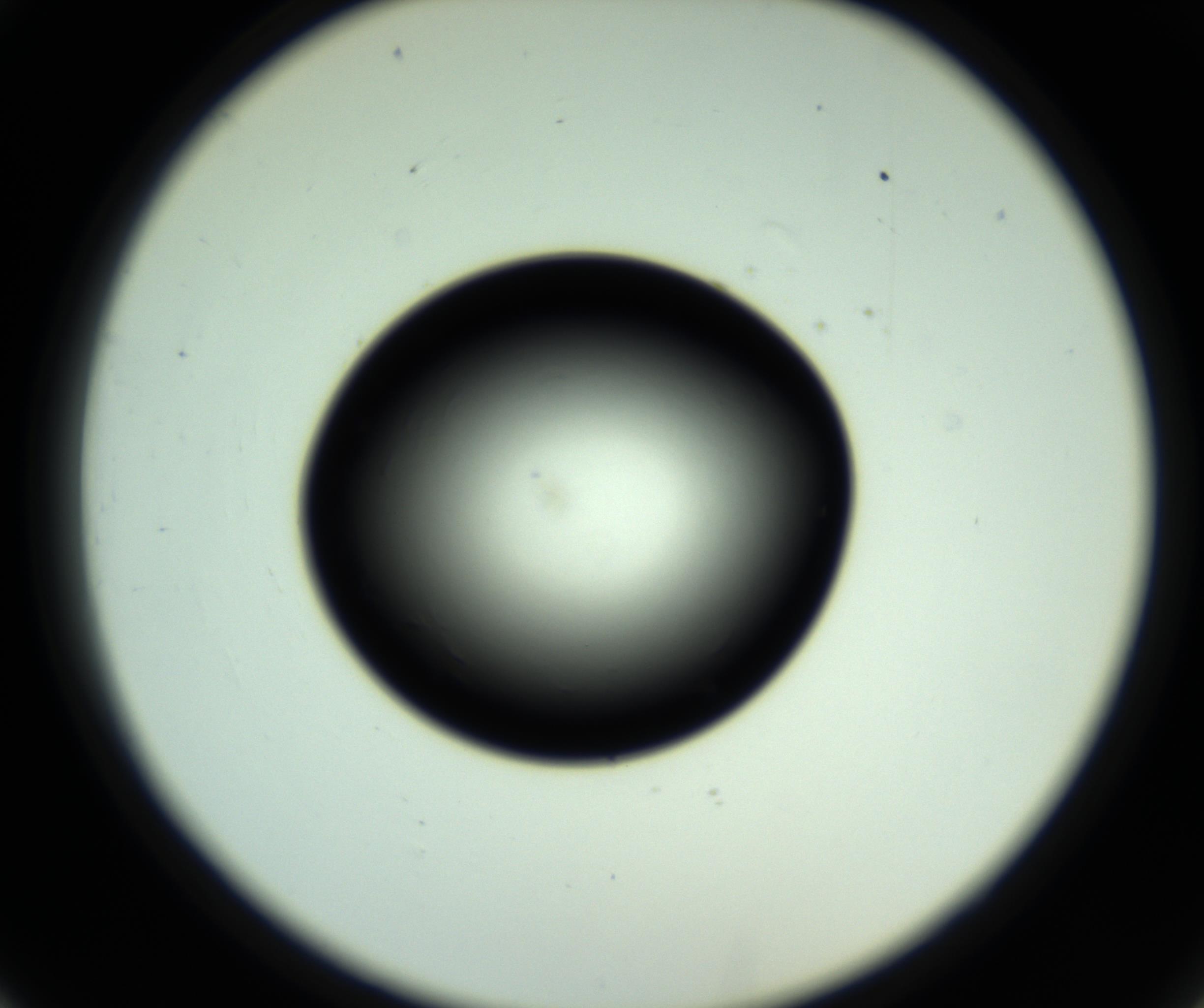 RI01_03_000_0212_Proj1_Clon1_MC_0000MC102810_006_161013_02_03_02_00_98_002_001_RAI.jpg