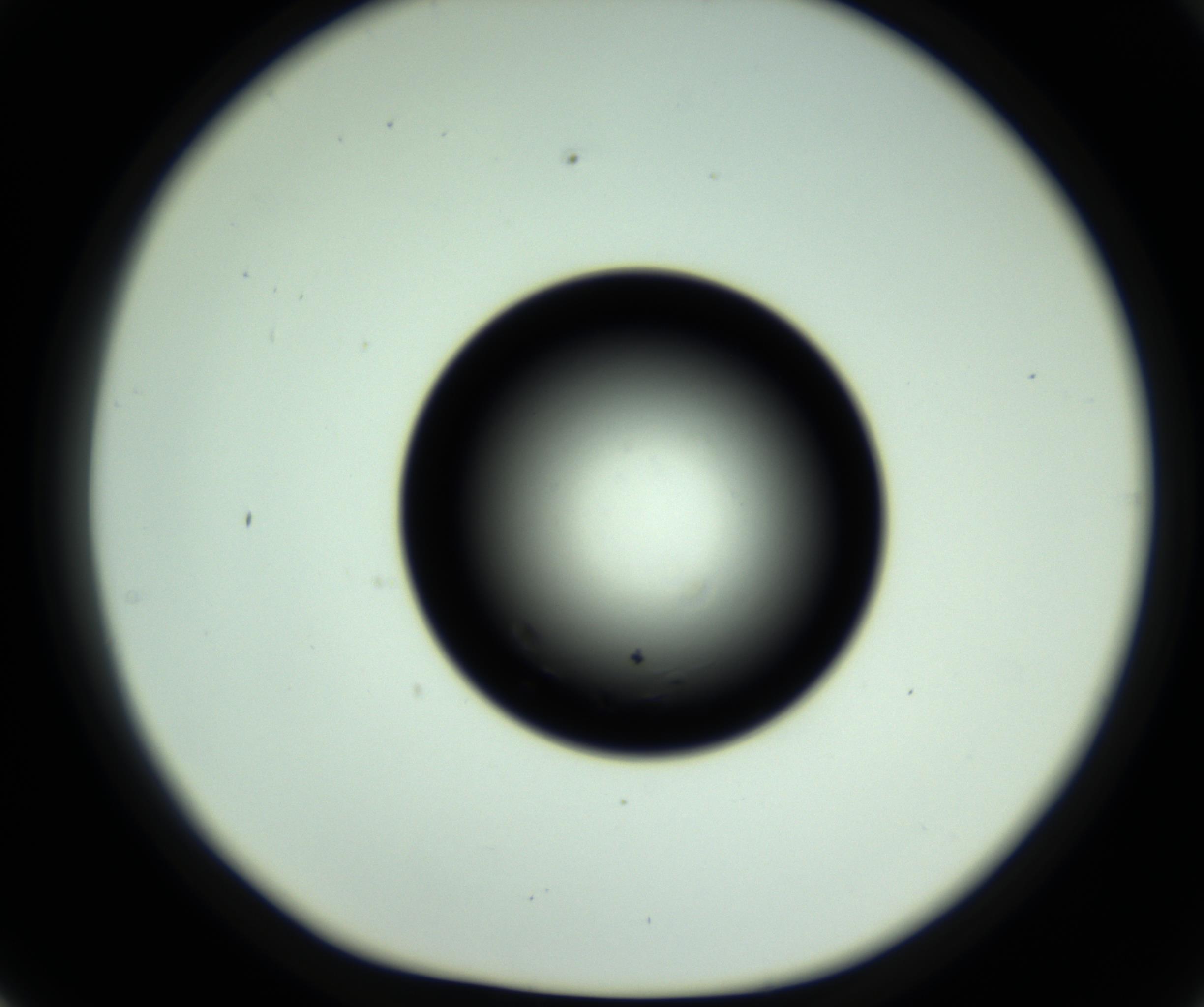 RI01_03_000_0212_Proj1_Clon1_MC_0000MC102810_006_161013_02_05_01_00_98_002_001_RAI.jpg