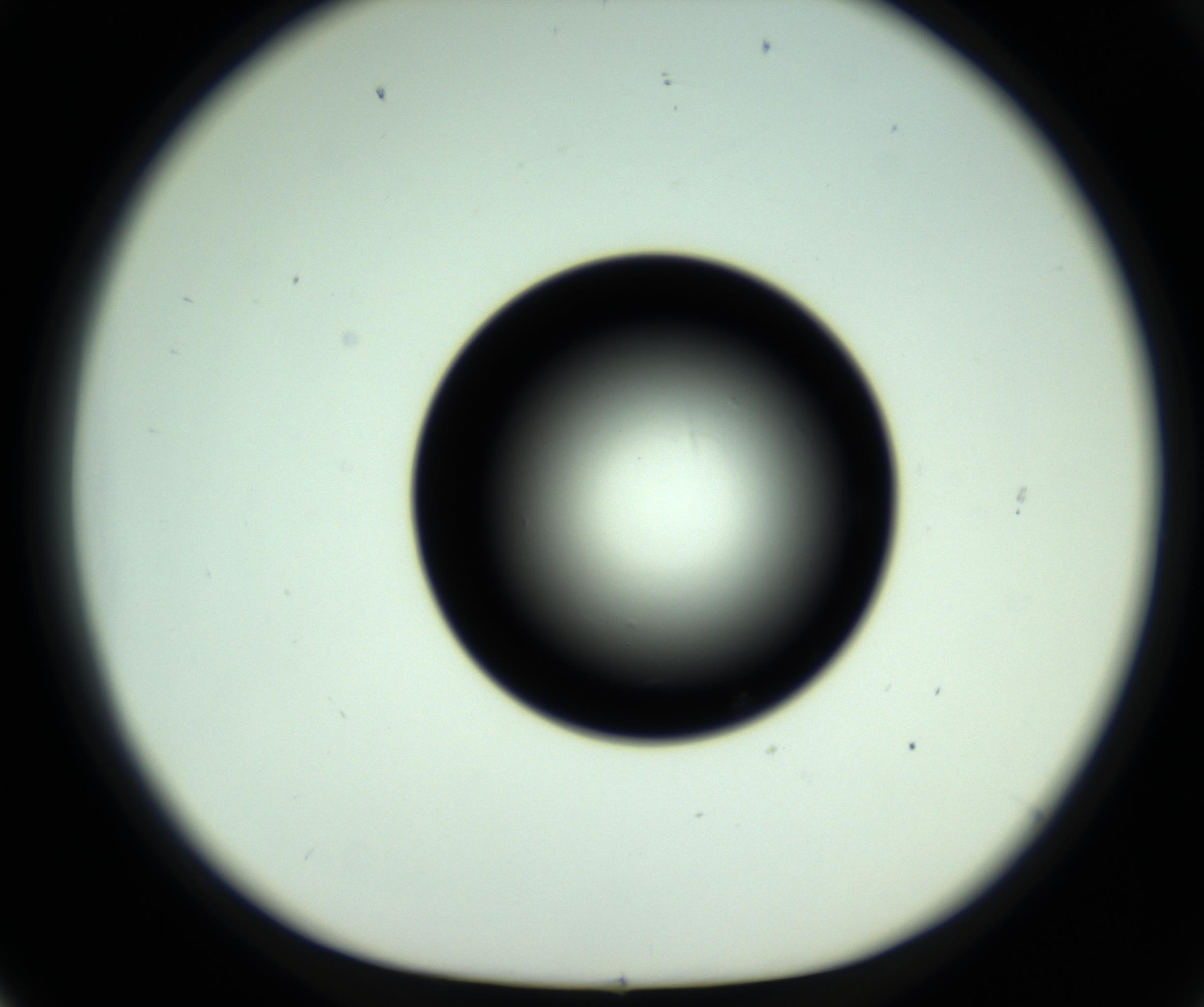 RI01_03_000_0212_Proj1_Clon1_MC_0000MC102810_006_161013_02_06_01_00_98_002_001_RAI.jpg