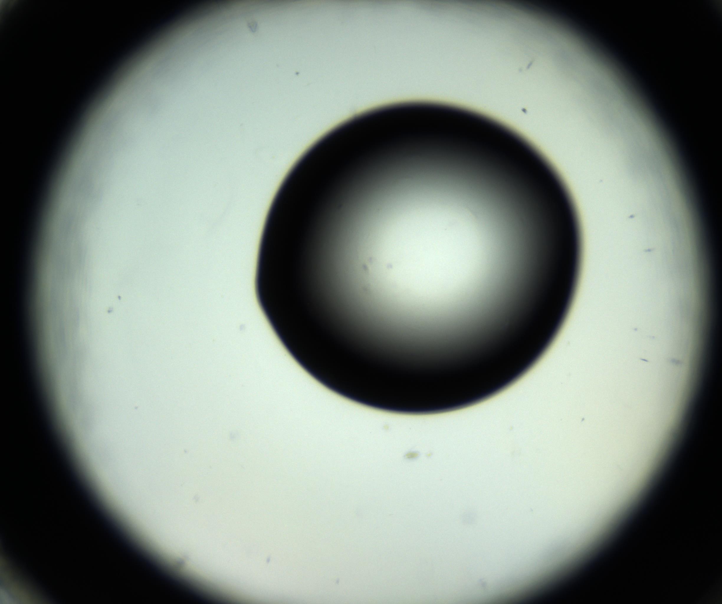 RI01_03_000_0212_Proj1_Clon1_MC_0000MC102810_006_161013_02_08_02_00_98_002_001_RAI.jpg