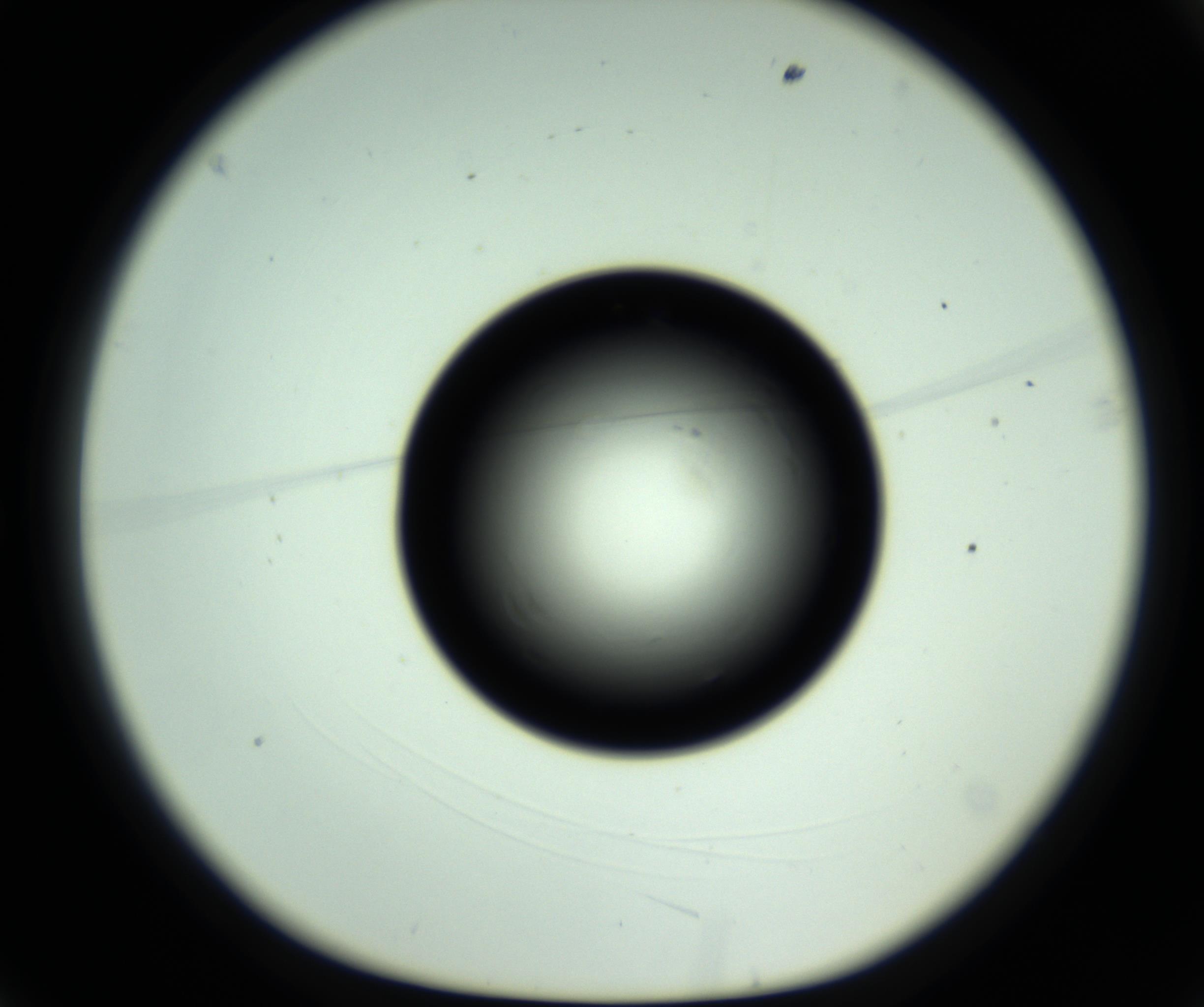 RI01_03_000_0212_Proj1_Clon1_MC_0000MC102810_006_161013_03_01_01_00_98_002_001_RAI.jpg