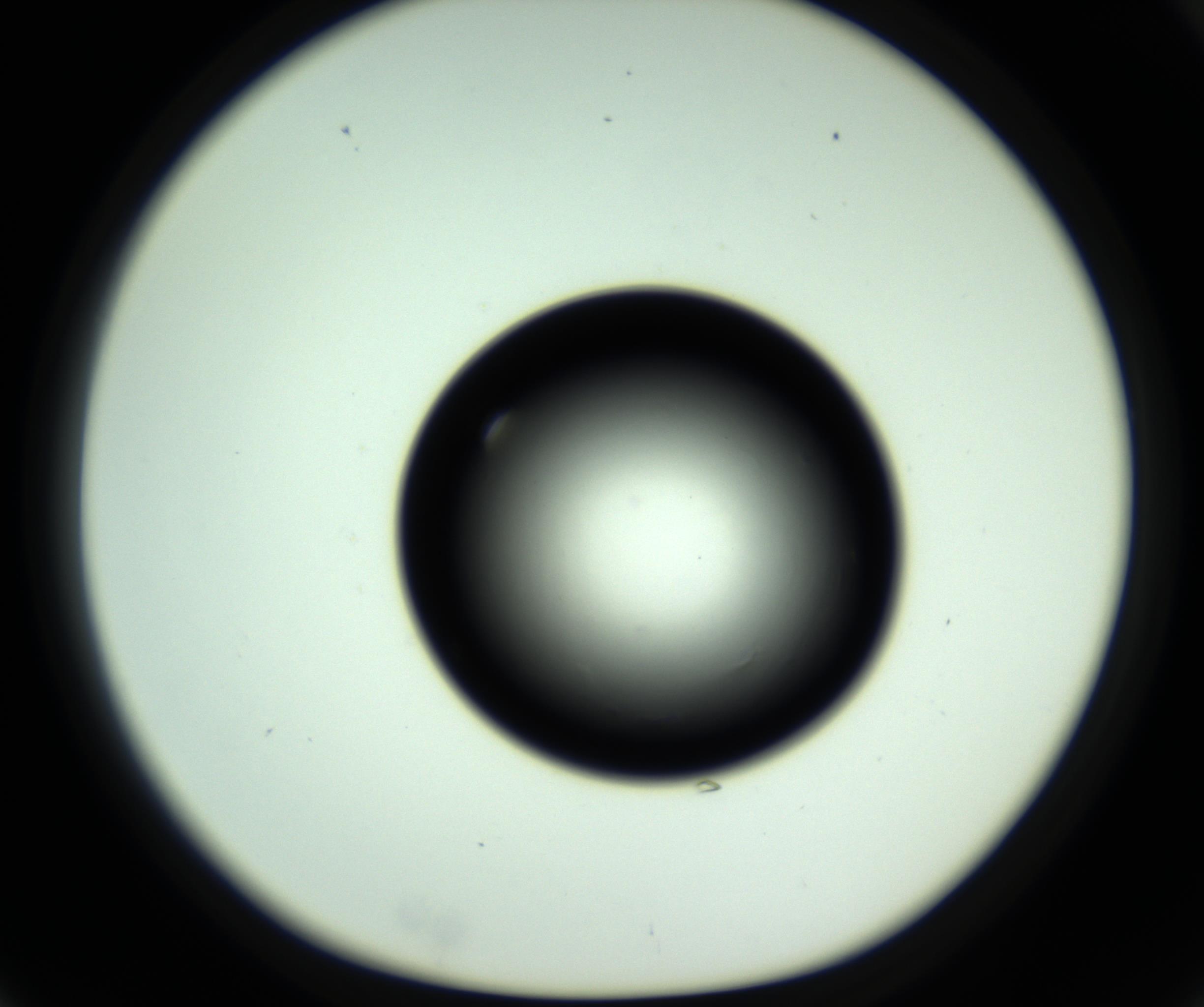 RI01_03_000_0212_Proj1_Clon1_MC_0000MC102810_006_161013_03_02_01_00_98_002_001_RAI.jpg