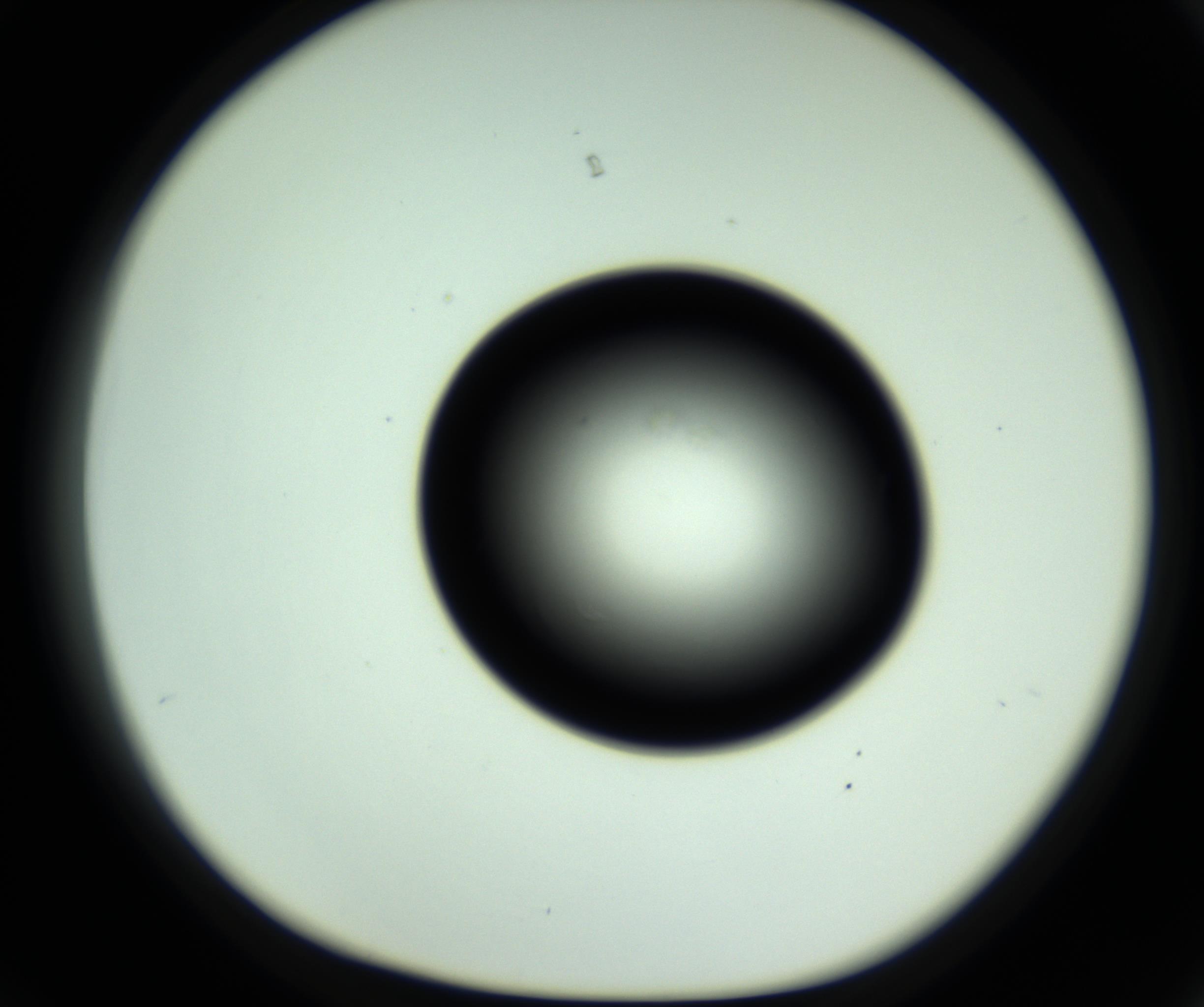 RI01_03_000_0212_Proj1_Clon1_MC_0000MC102810_006_161013_03_03_01_00_98_002_001_RAI.jpg