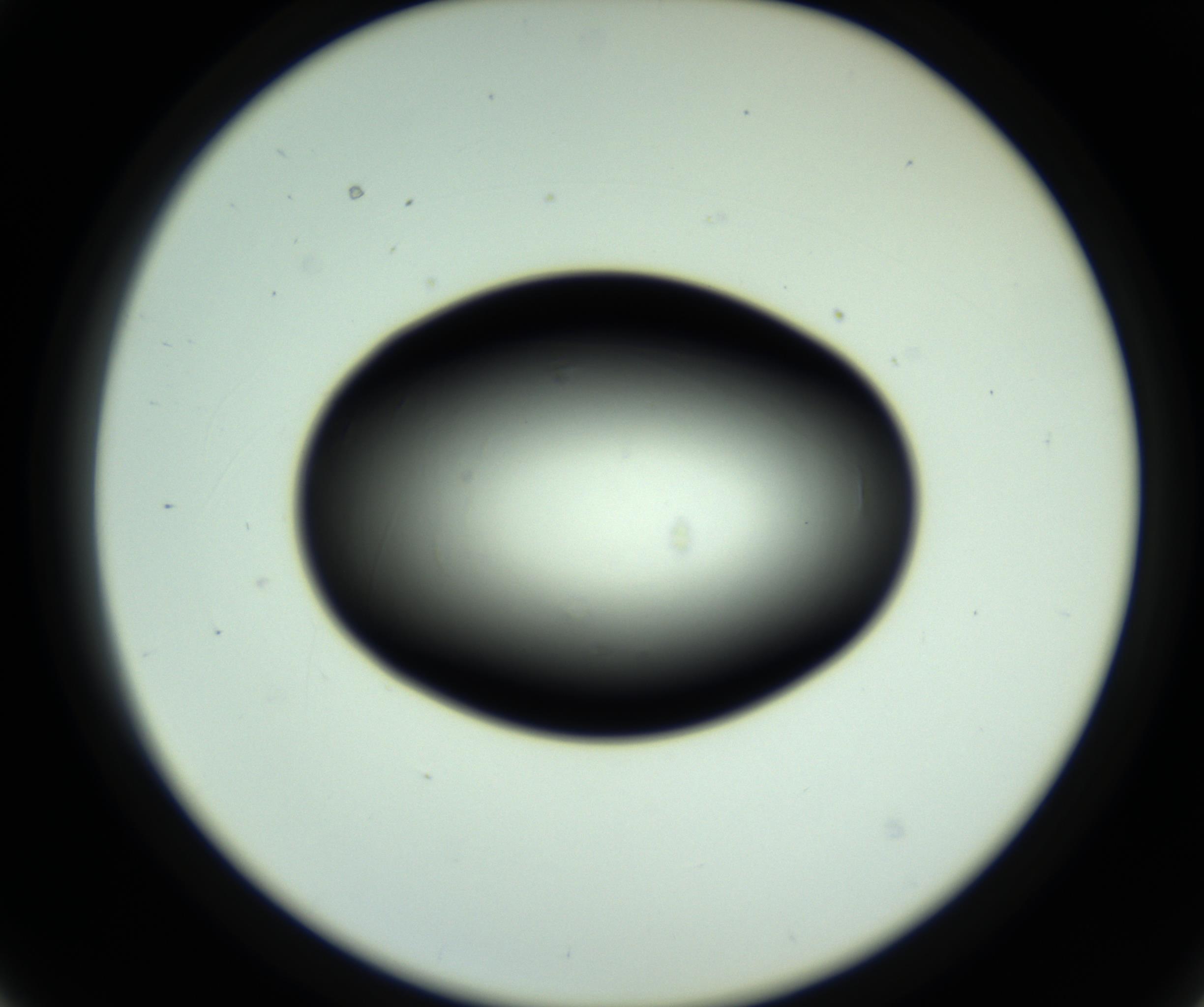 RI01_03_000_0212_Proj1_Clon1_MC_0000MC102810_006_161013_03_03_02_00_98_002_001_RAI.jpg