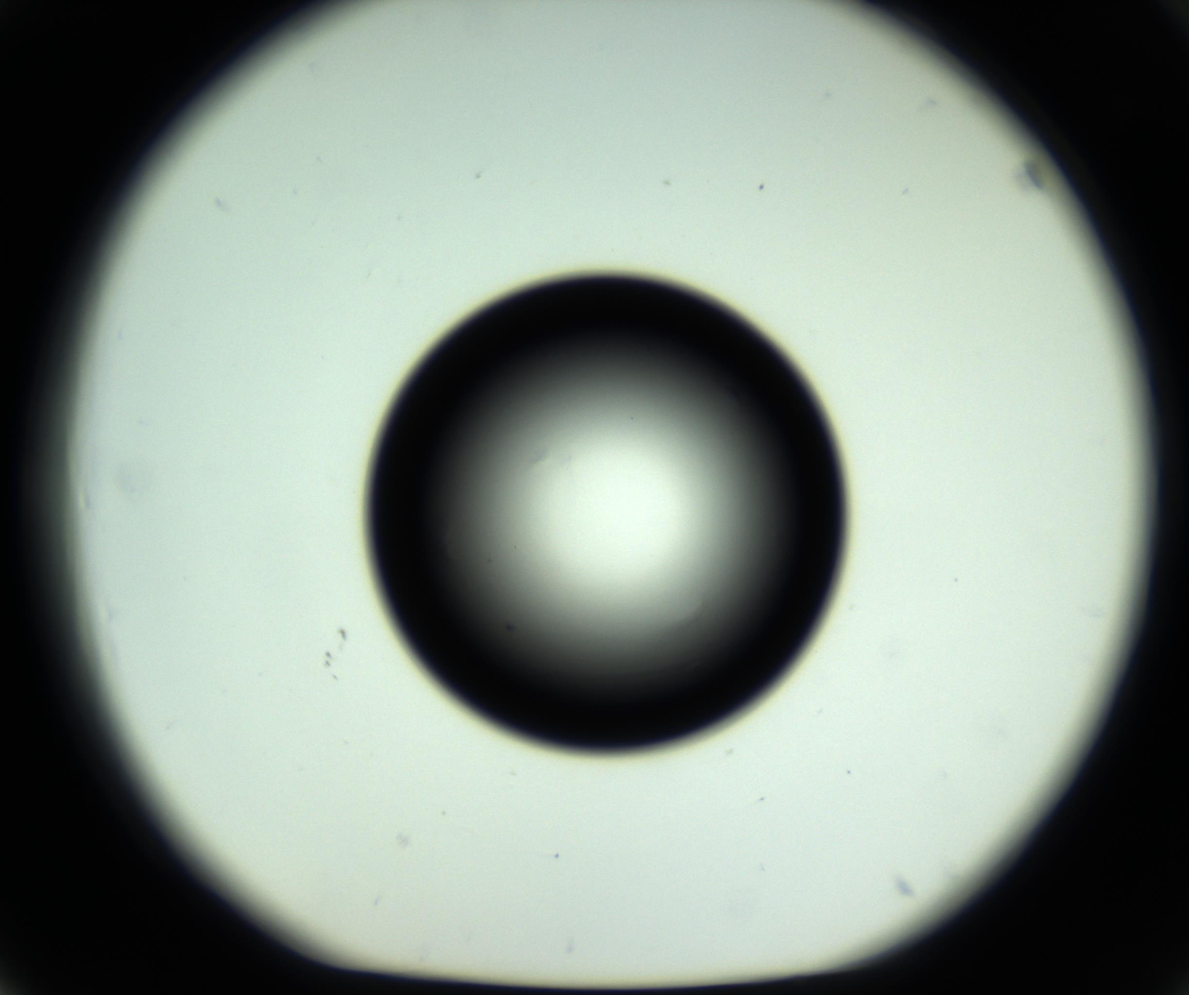 RI01_03_000_0212_Proj1_Clon1_MC_0000MC102810_006_161013_03_04_01_00_98_002_001_RAI.jpg