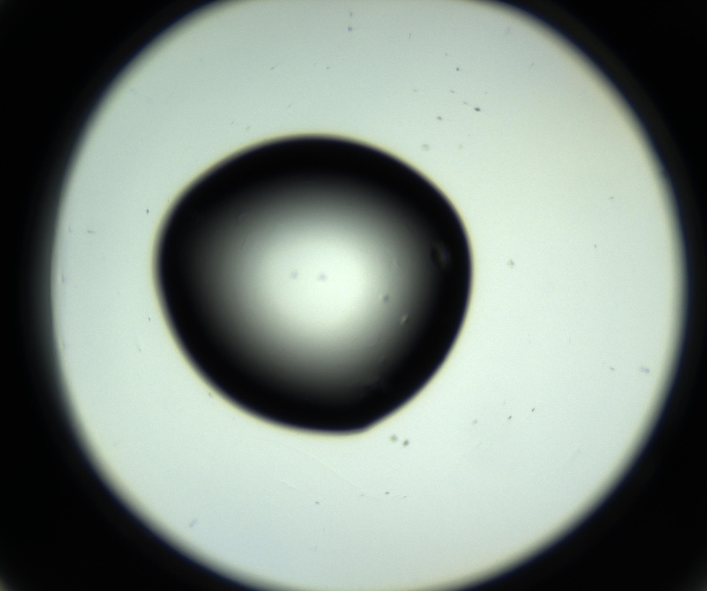 RI01_03_000_0212_Proj1_Clon1_MC_0000MC102810_006_161013_03_04_02_00_98_002_001_RAI.jpg