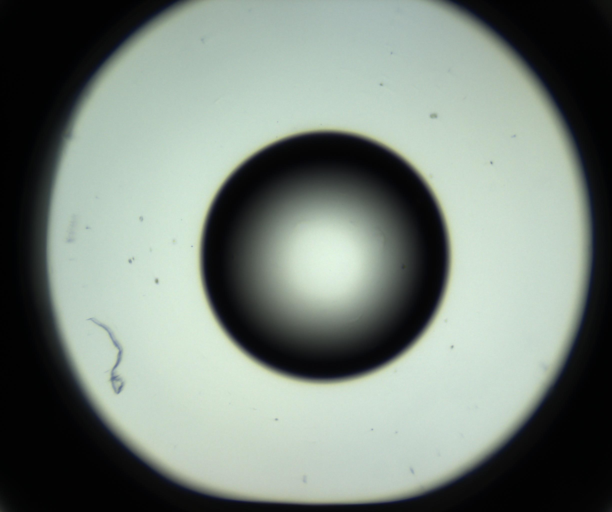 RI01_03_000_0212_Proj1_Clon1_MC_0000MC102810_006_161013_03_05_01_00_98_002_001_RAI.jpg