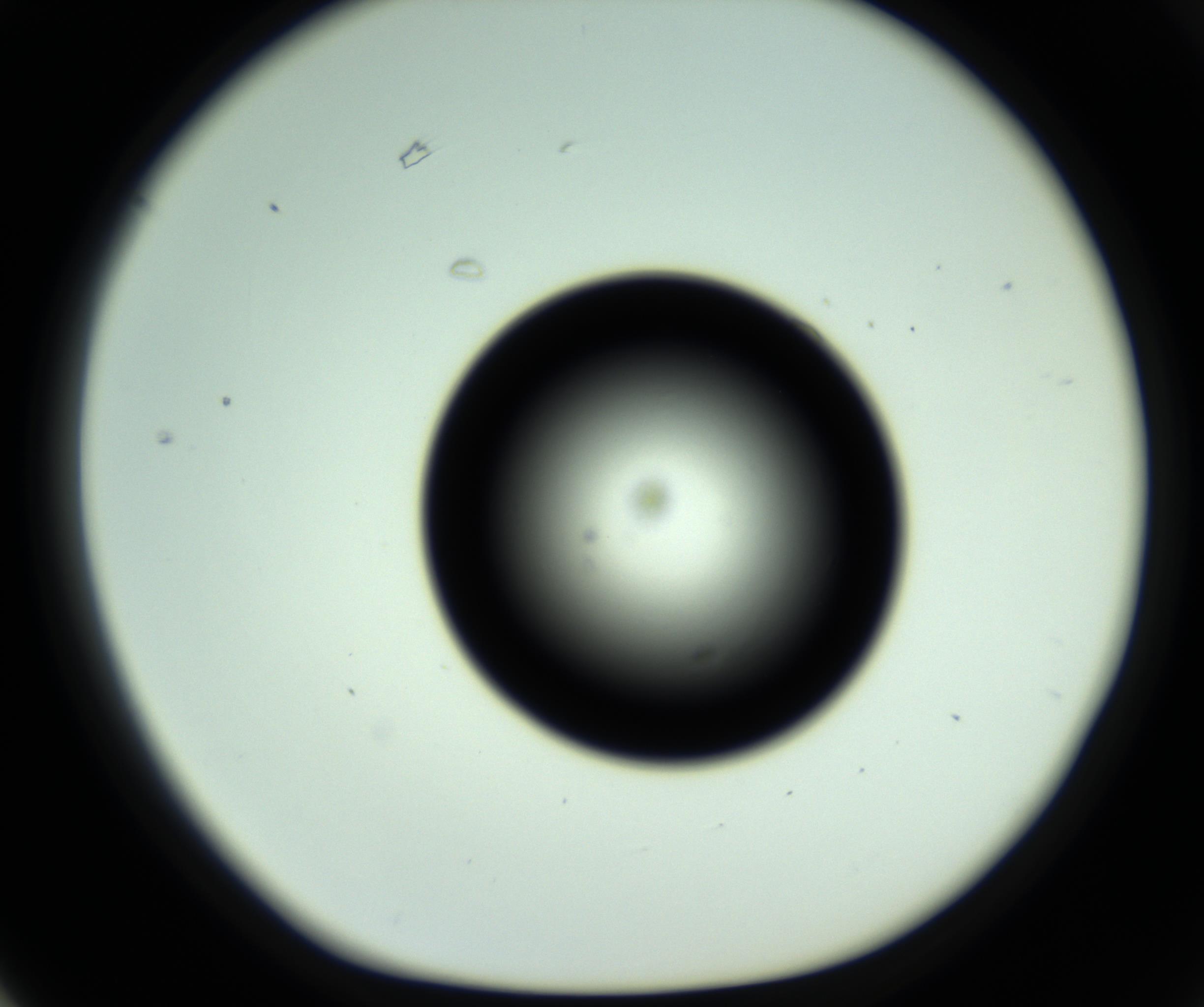 RI01_03_000_0212_Proj1_Clon1_MC_0000MC102810_006_161013_03_06_01_00_98_002_001_RAI.jpg