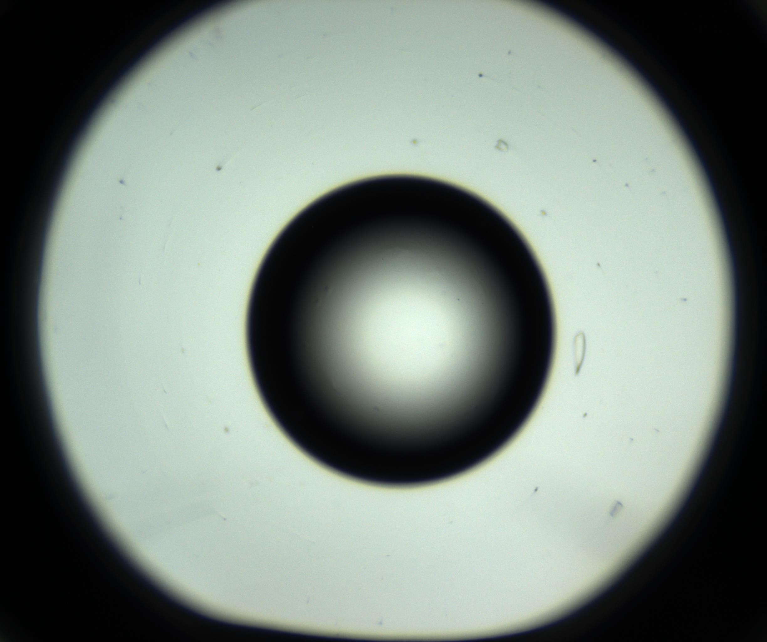 RI01_03_000_0212_Proj1_Clon1_MC_0000MC102810_006_161013_04_01_01_00_98_002_001_RAI.jpg