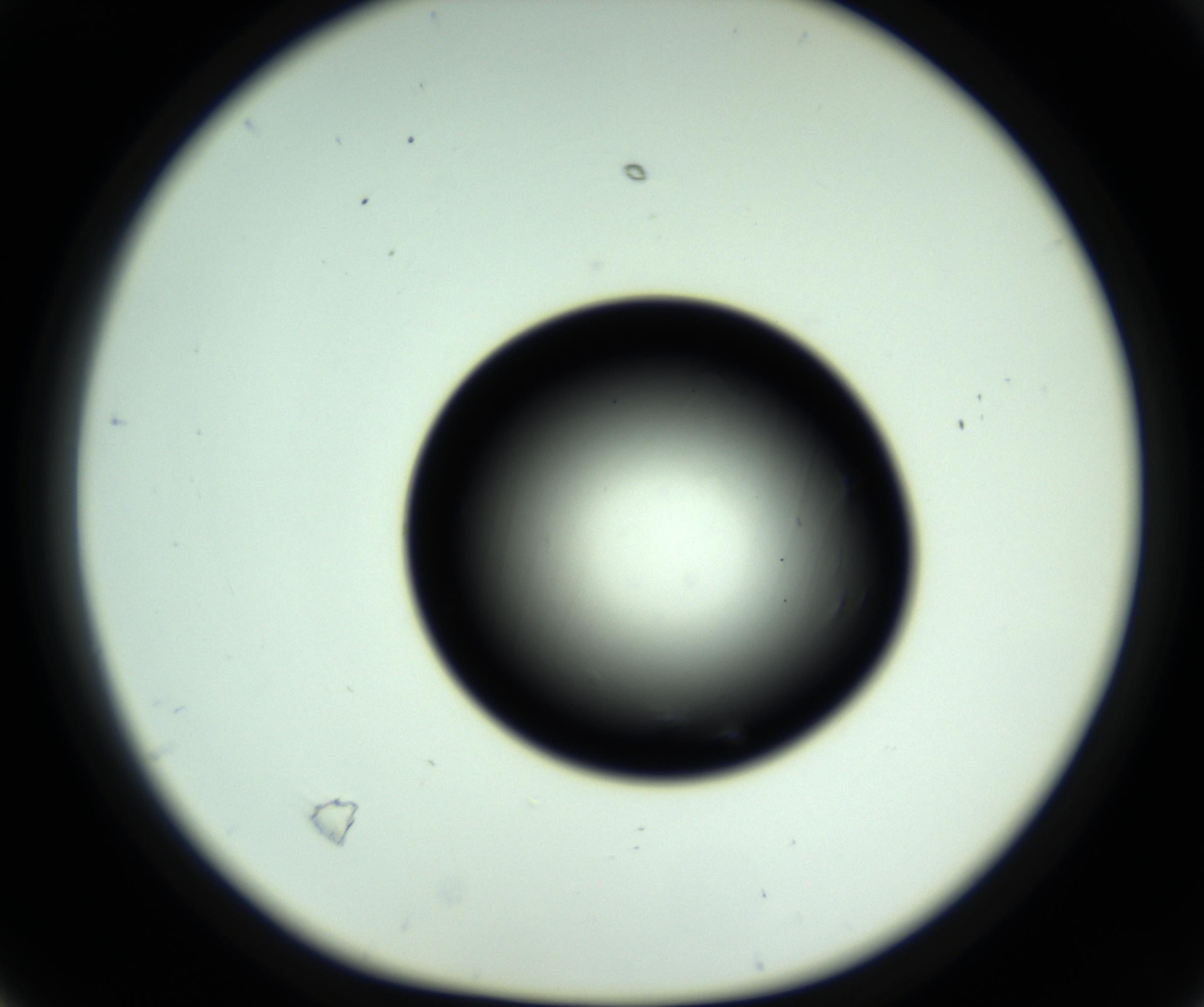 RI01_03_000_0212_Proj1_Clon1_MC_0000MC102810_006_161013_04_02_01_00_98_002_001_RAI.jpg