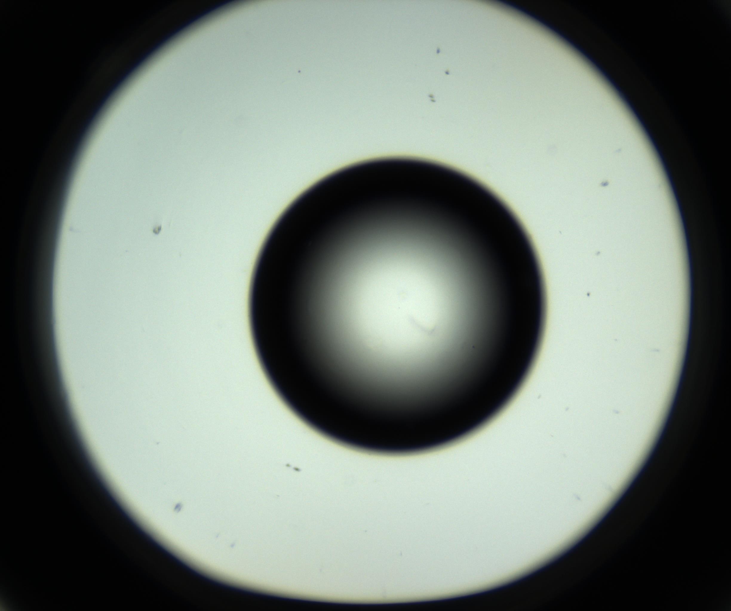 RI01_03_000_0212_Proj1_Clon1_MC_0000MC102810_006_161013_04_03_01_00_98_002_001_RAI.jpg