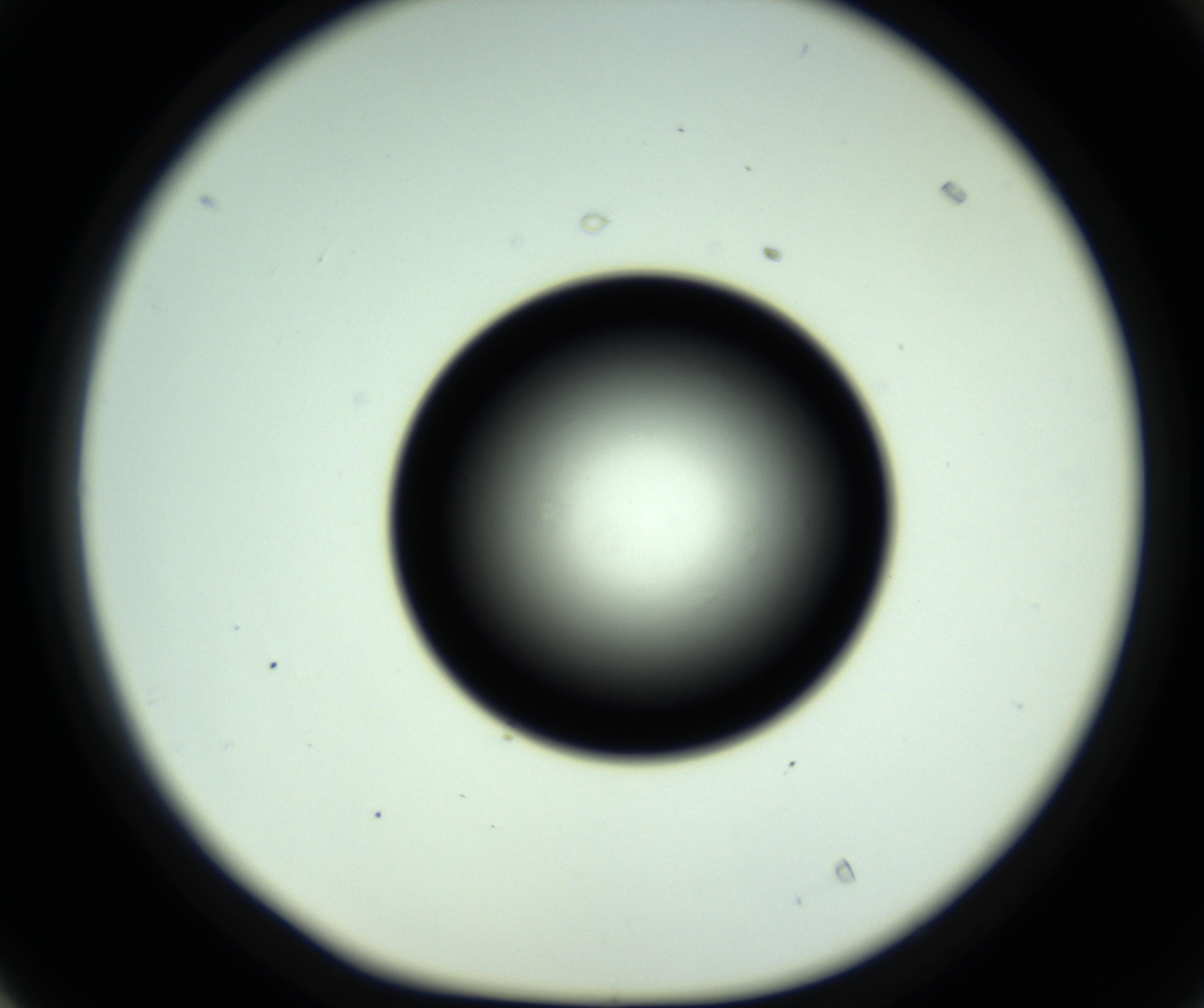 RI01_03_000_0212_Proj1_Clon1_MC_0000MC102810_006_161013_04_04_01_00_98_002_001_RAI.jpg