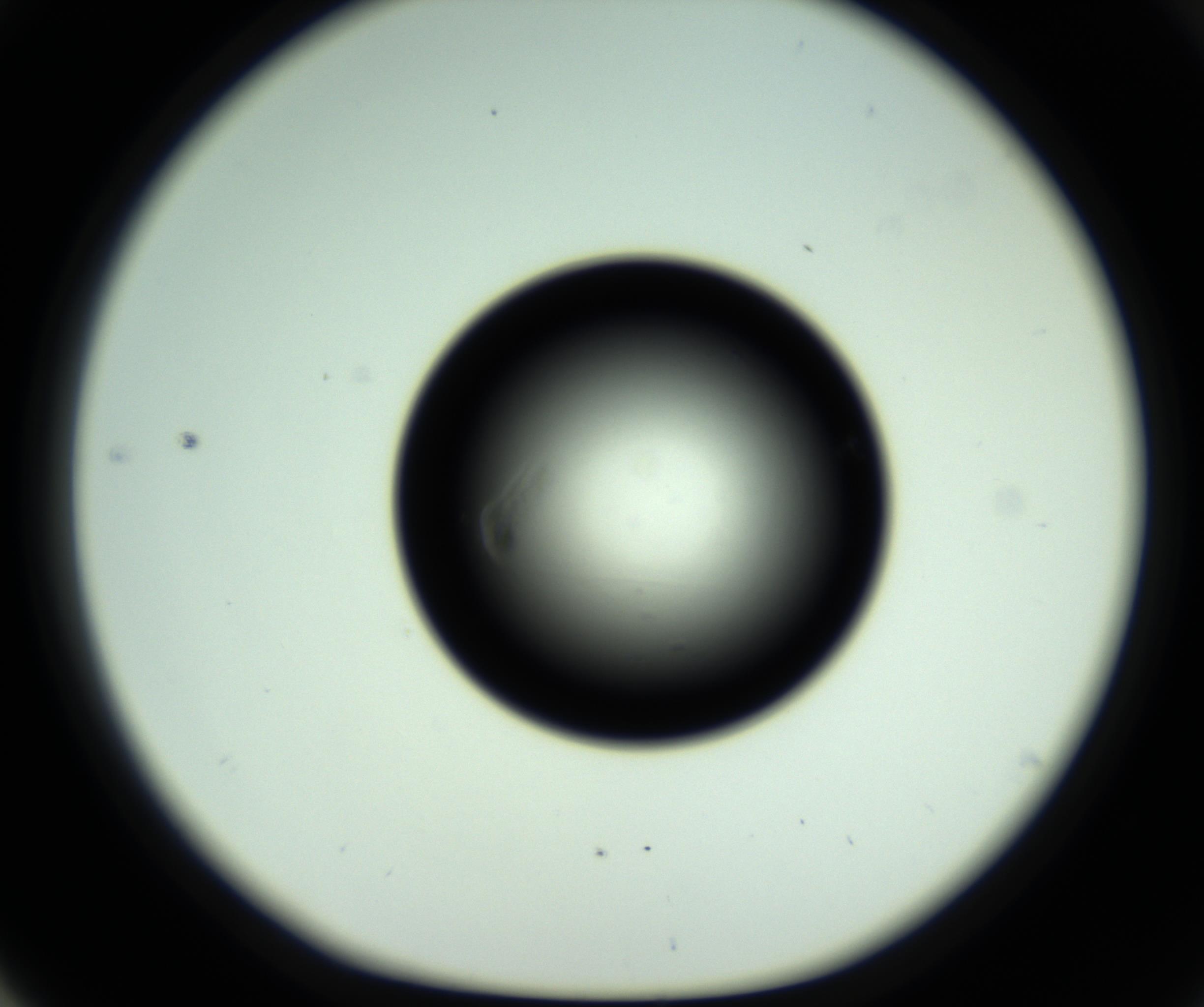 RI01_03_000_0212_Proj1_Clon1_MC_0000MC102810_006_161013_04_05_01_00_98_002_001_RAI.jpg