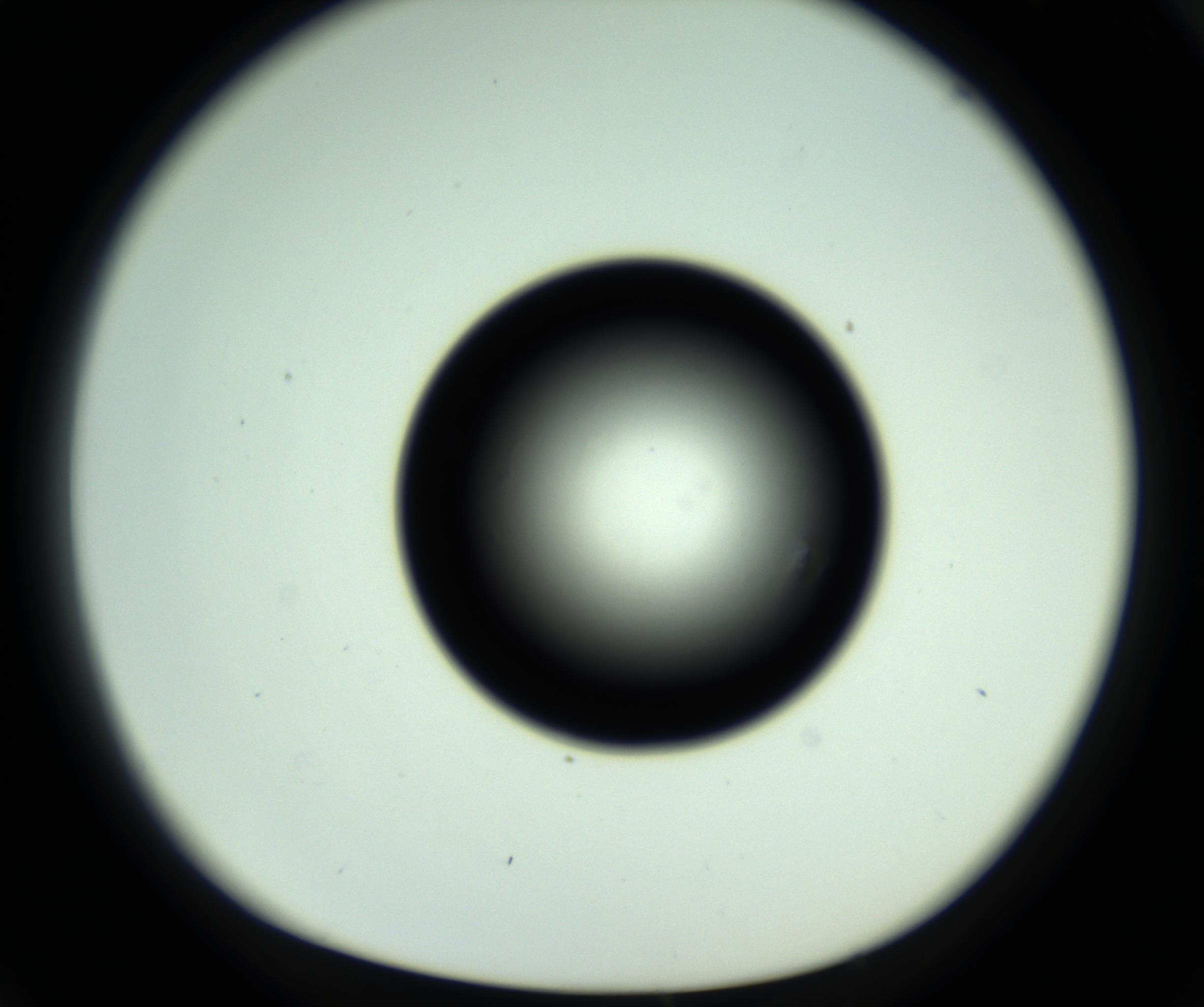 RI01_03_000_0212_Proj1_Clon1_MC_0000MC102810_006_161013_04_06_01_00_98_002_001_RAI.jpg