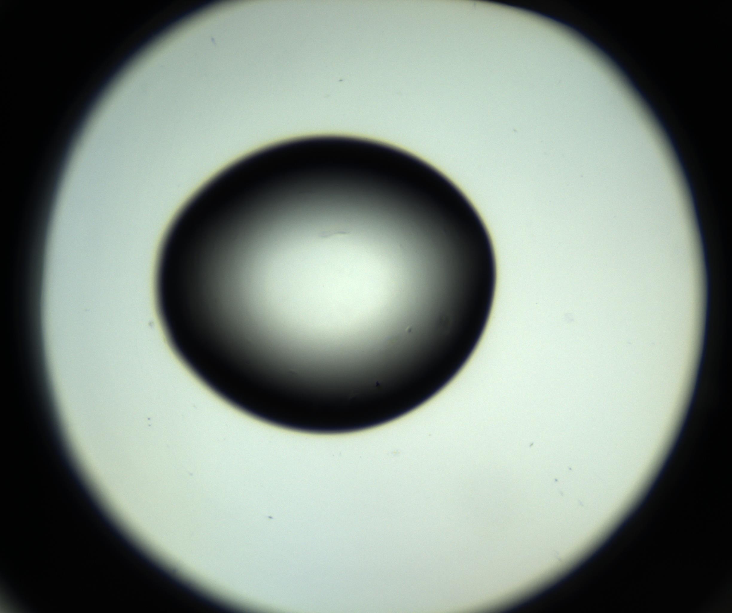 RI01_03_000_0212_Proj1_Clon1_MC_0000MC102810_006_161013_04_06_02_00_98_002_001_RAI.jpg