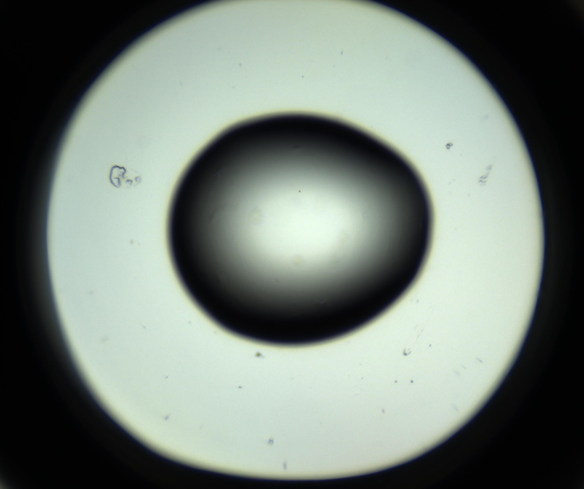 RI01_03_000_0212_Proj1_Clon1_MC_0000MC102810_006_161013_04_07_01_00_98_002_001_RAI.jpg