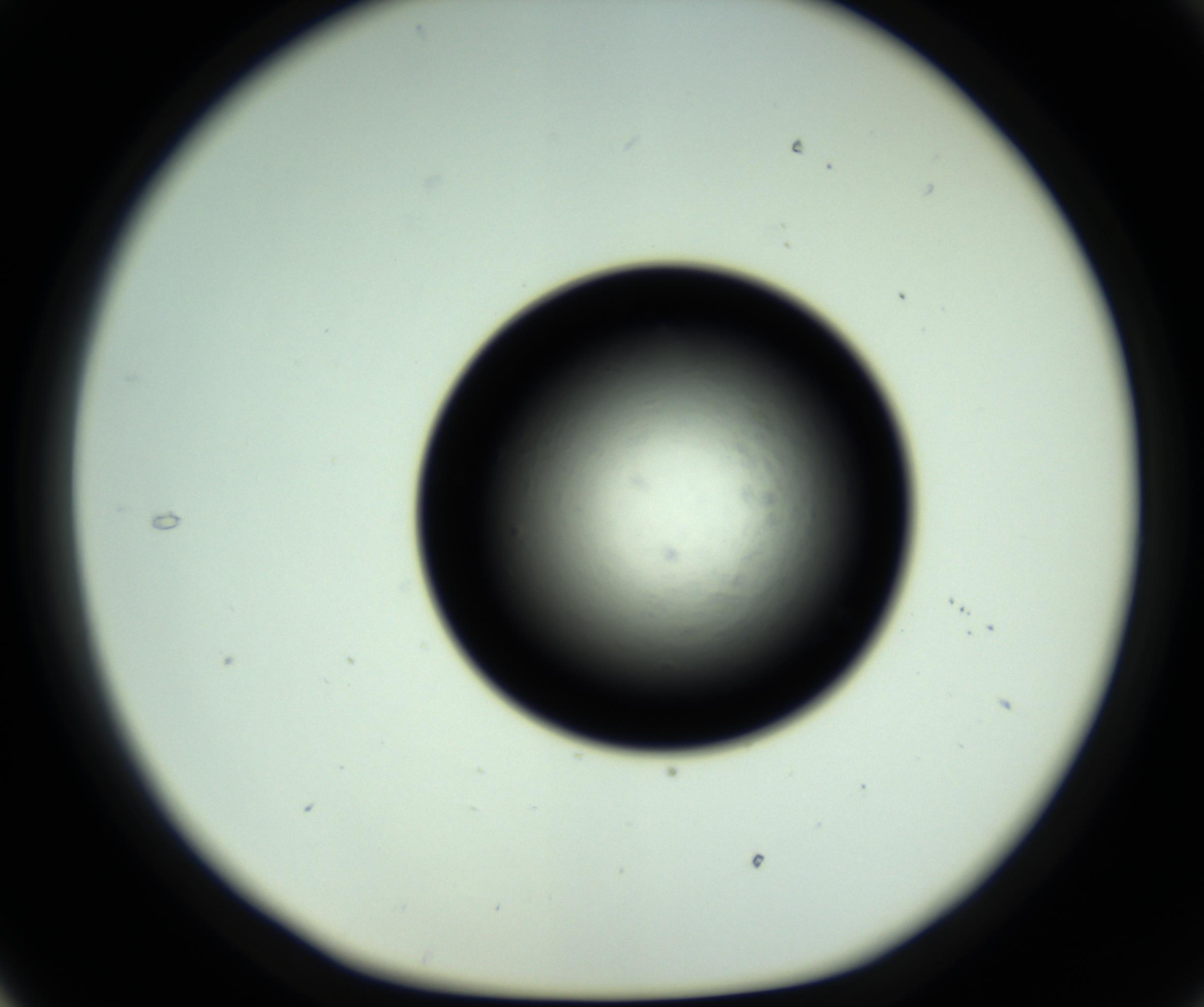 RI01_03_000_0212_Proj1_Clon1_MC_0000MC102810_006_161013_05_03_01_00_98_002_001_RAI.jpg