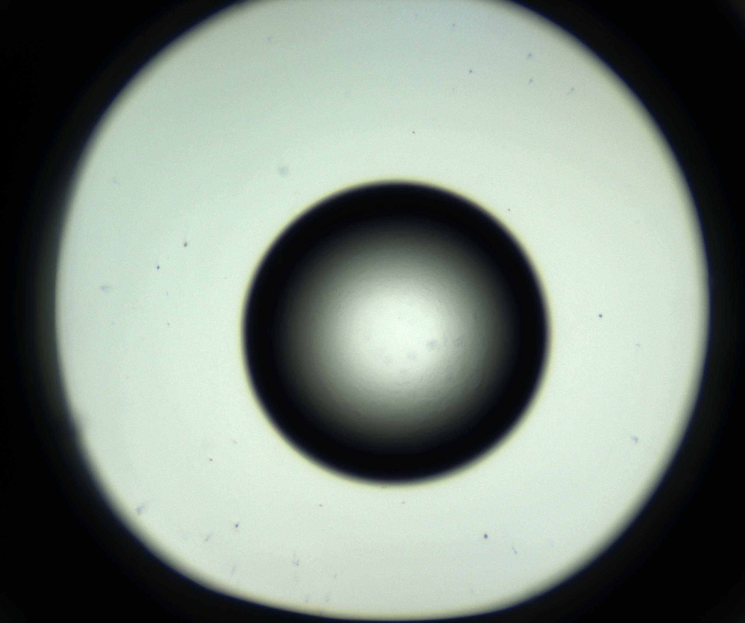 RI01_03_000_0212_Proj1_Clon1_MC_0000MC102810_006_161013_05_04_01_00_98_002_001_RAI.jpg