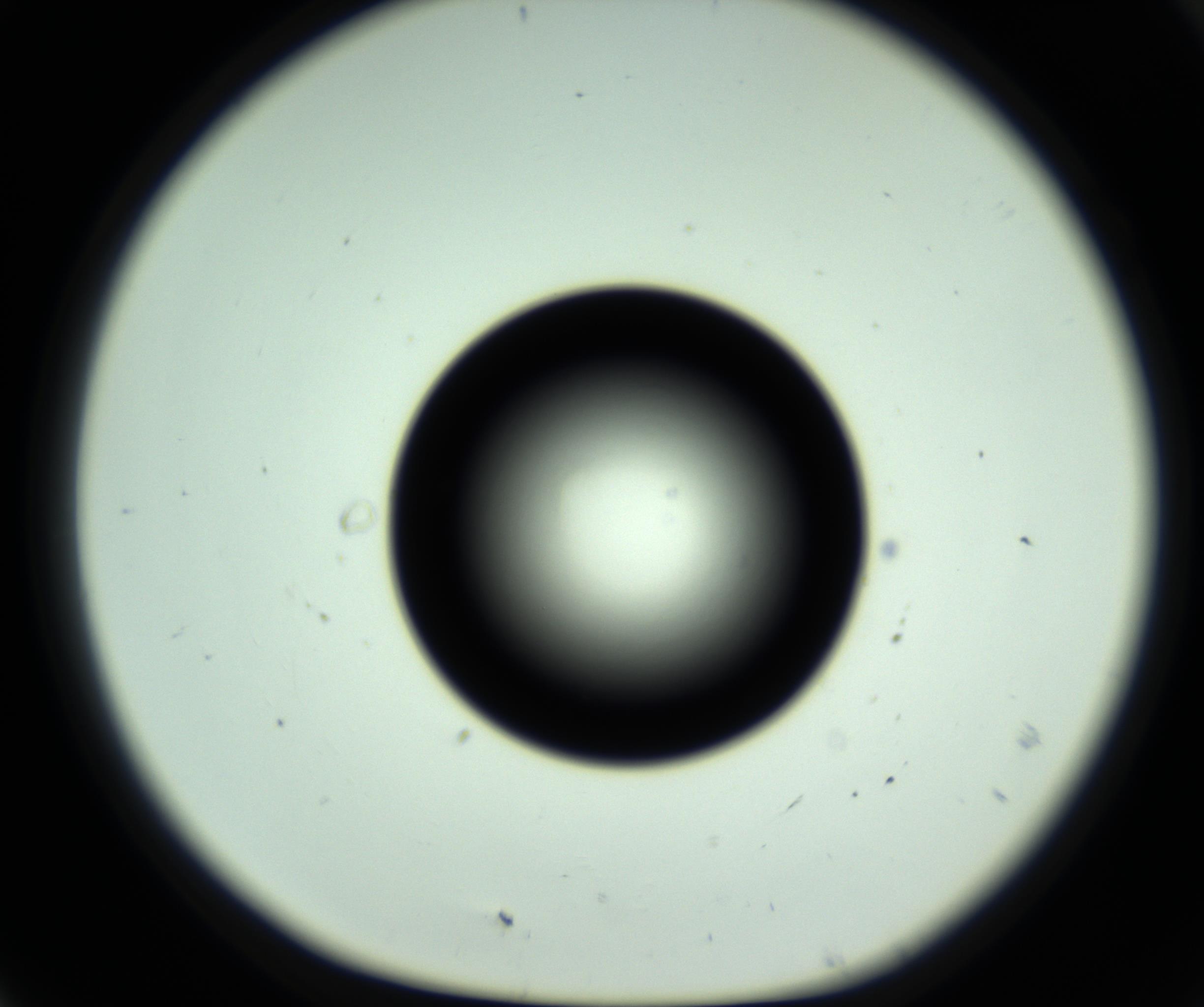 RI01_03_000_0212_Proj1_Clon1_MC_0000MC102810_006_161013_07_01_01_00_98_002_001_RAI.jpg