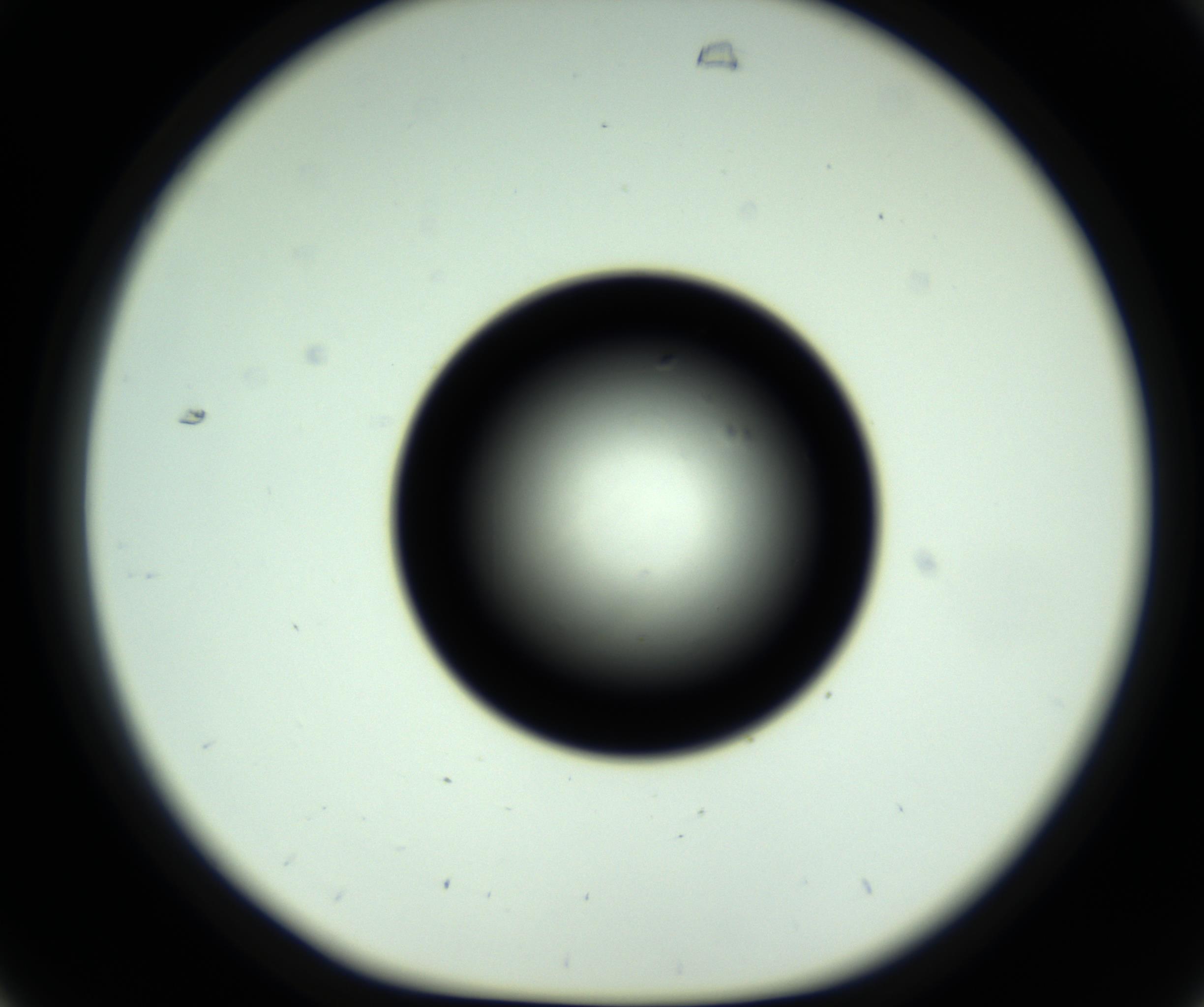 RI01_03_000_0212_Proj1_Clon1_MC_0000MC102810_006_161013_07_03_01_00_98_002_001_RAI.jpg