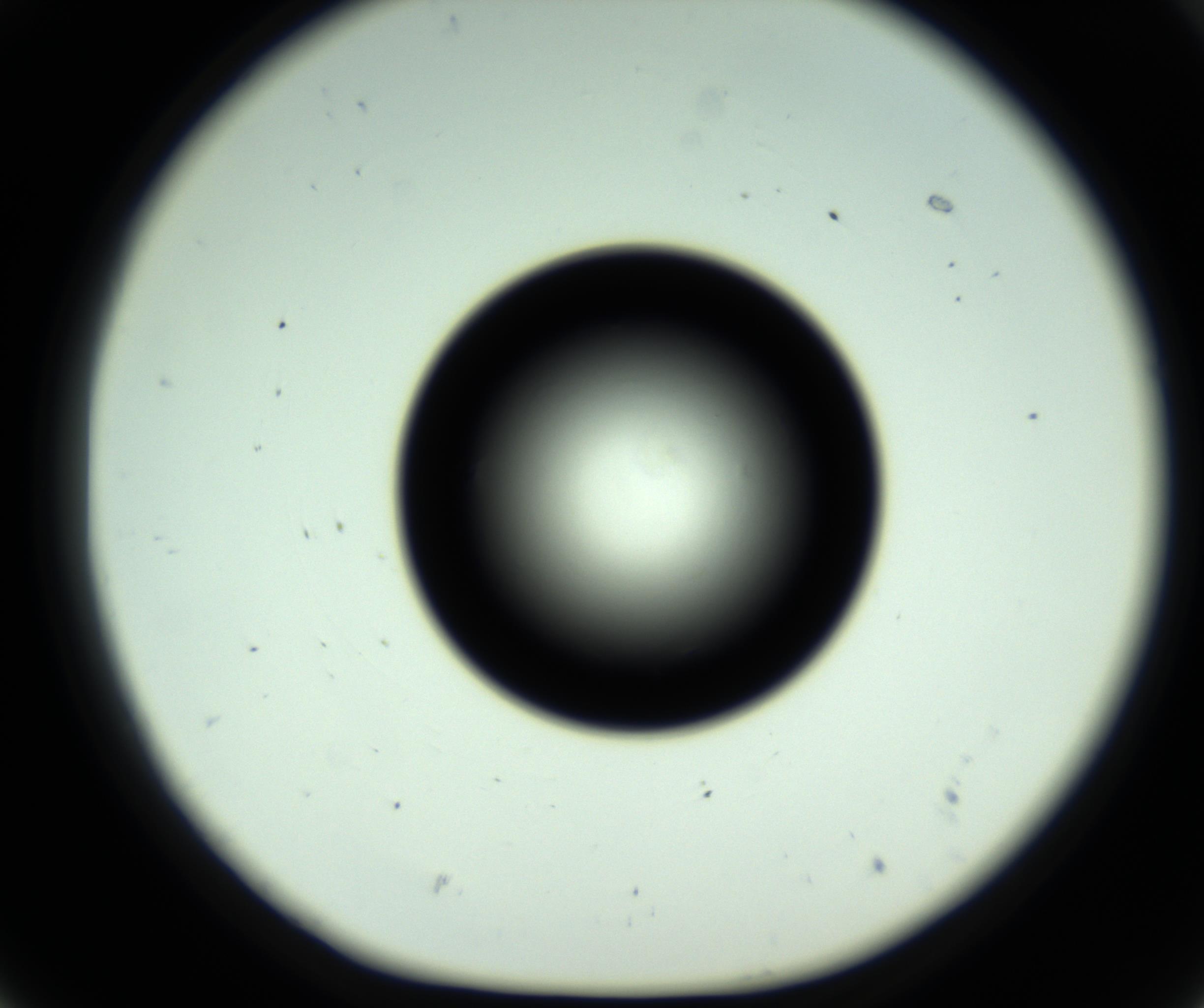 RI01_03_000_0212_Proj1_Clon1_MC_0000MC102810_006_161013_07_05_01_00_98_002_001_RAI.jpg