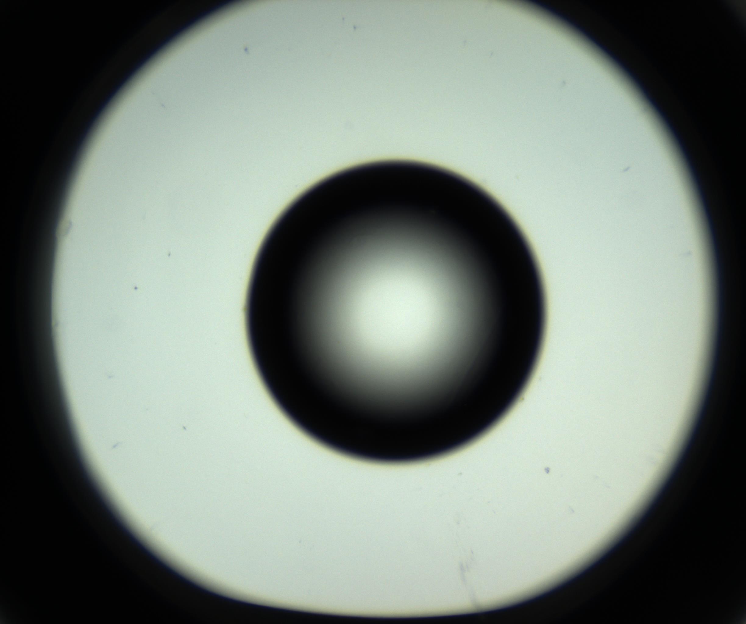 RI01_03_000_0212_Proj1_Clon1_MC_0000MC102810_006_161013_07_06_01_00_98_002_001_RAI.jpg