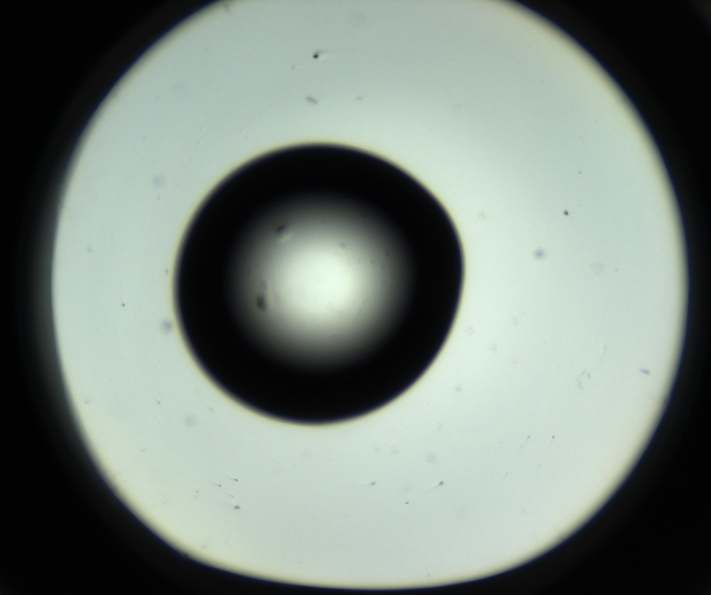 RI01_03_000_0212_Proj1_Clon1_MC_0000MC102810_006_161013_07_07_01_00_98_002_001_RAI.jpg