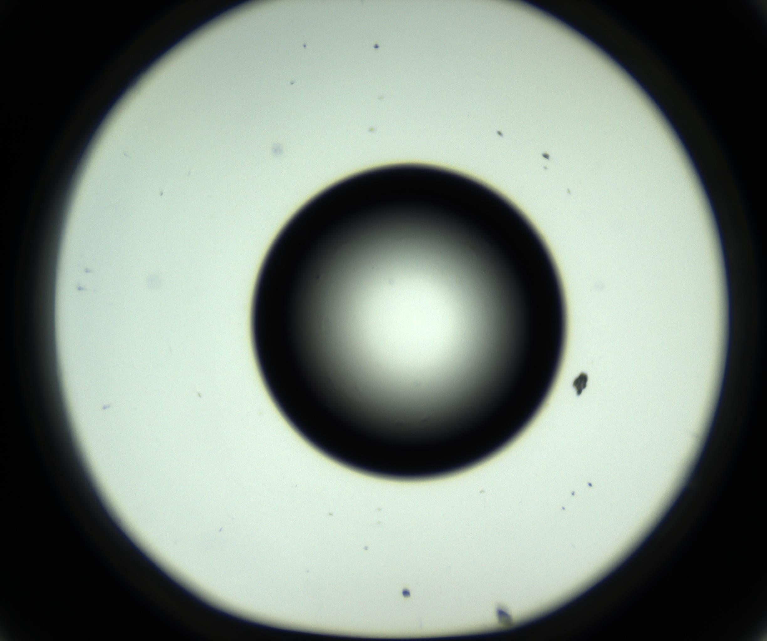 RI01_03_000_0212_Proj1_Clon1_MC_0000MC102810_006_161013_08_03_01_00_98_002_001_RAI.jpg
