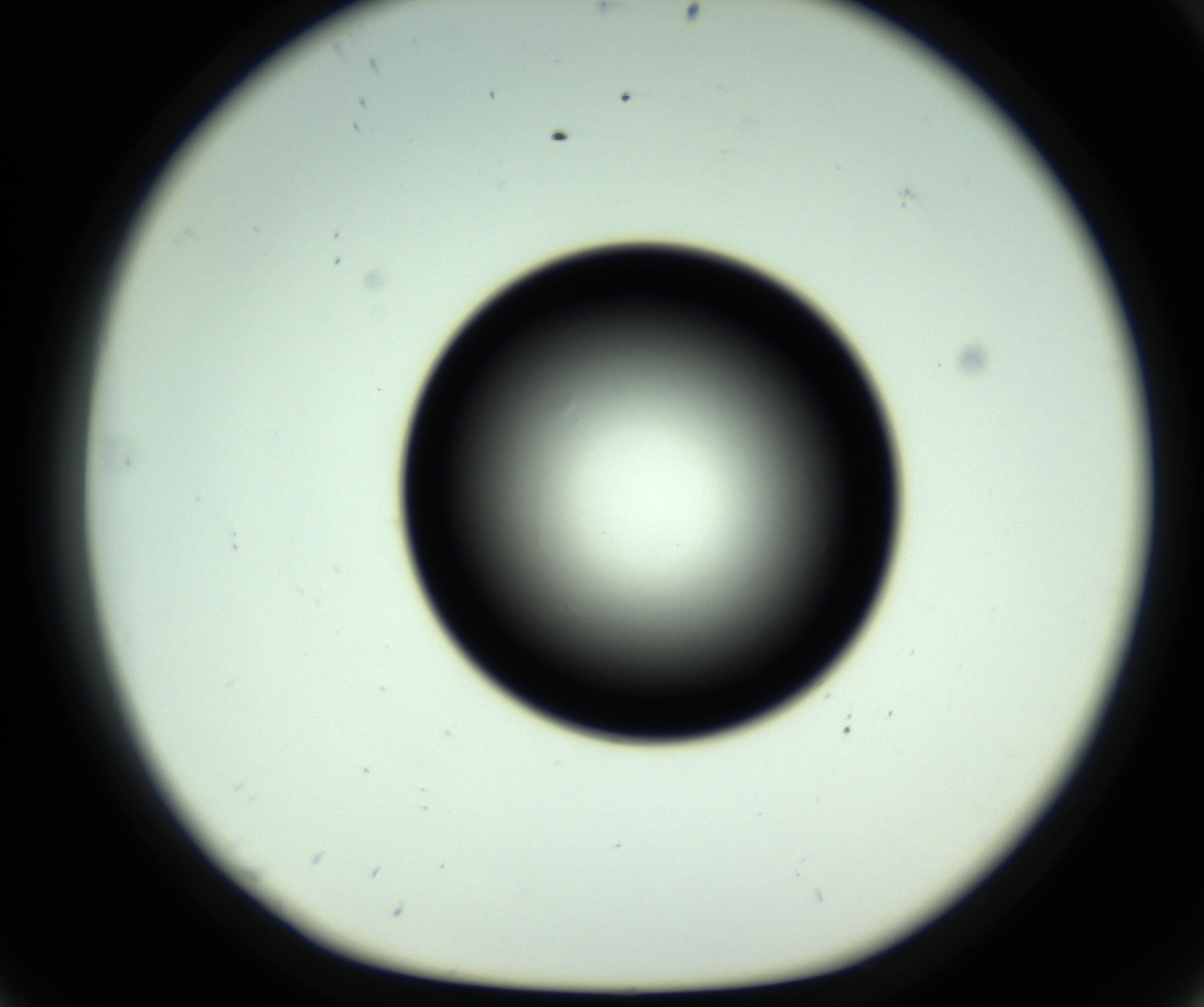 RI01_03_000_0212_Proj1_Clon1_MC_0000MC102810_006_161013_08_05_01_00_98_002_001_RAI.jpg
