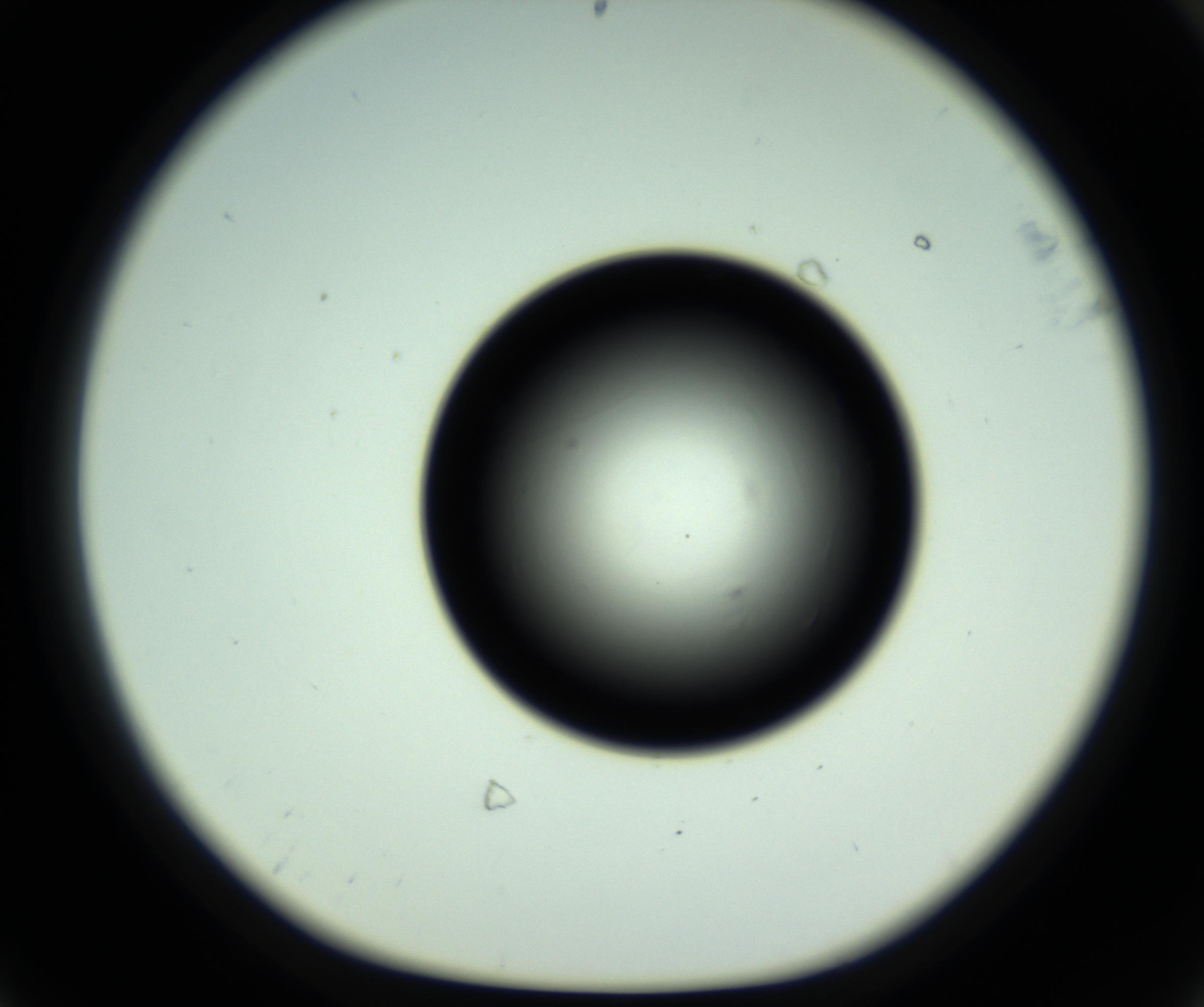 RI01_03_000_0212_Proj1_Clon1_MC_0000MC102810_006_161013_08_06_01_00_98_002_001_RAI.jpg