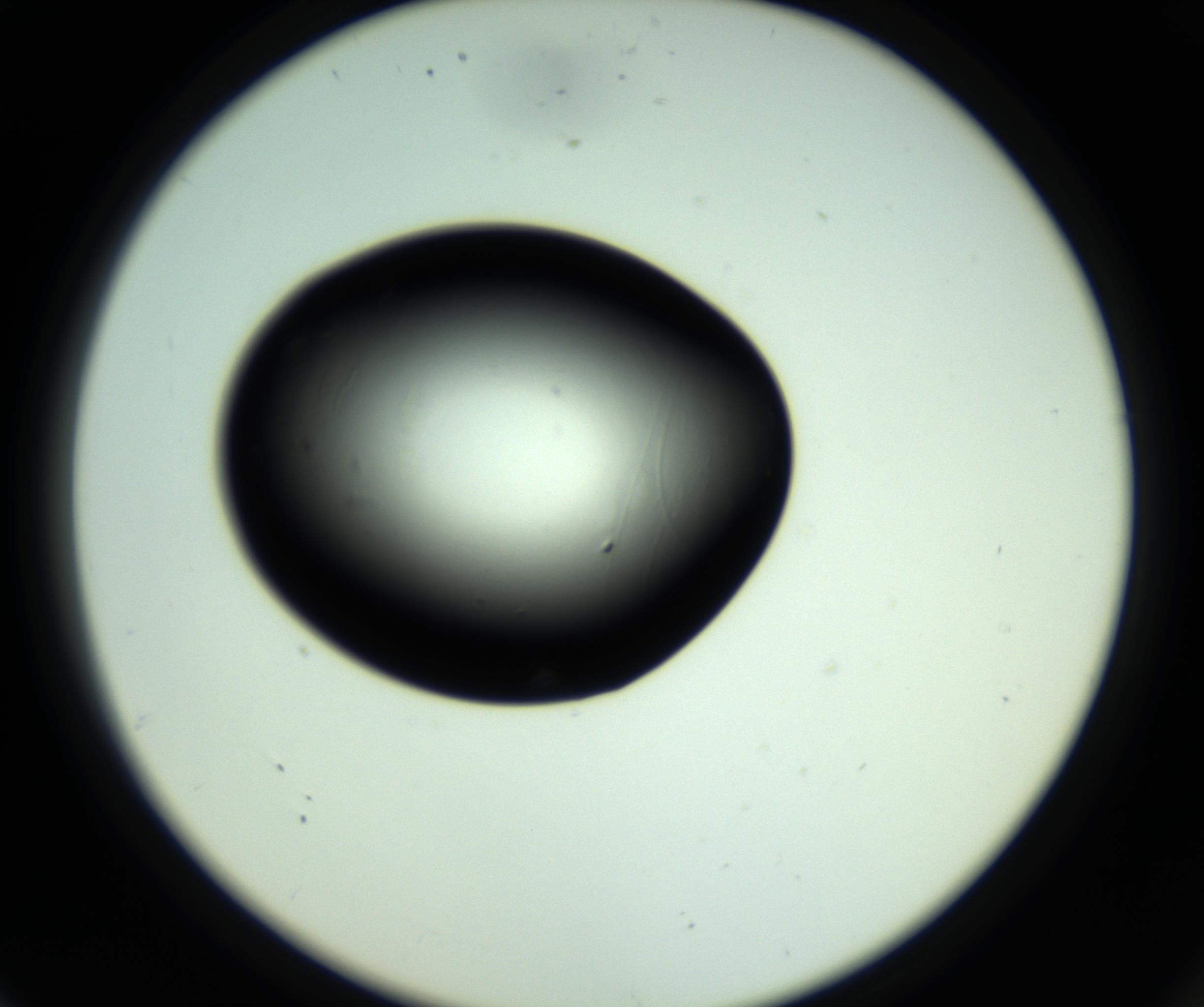 RI01_03_000_0212_Proj1_Clon1_MC_0000MC102810_006_161013_08_07_02_00_98_002_001_RAI.jpg