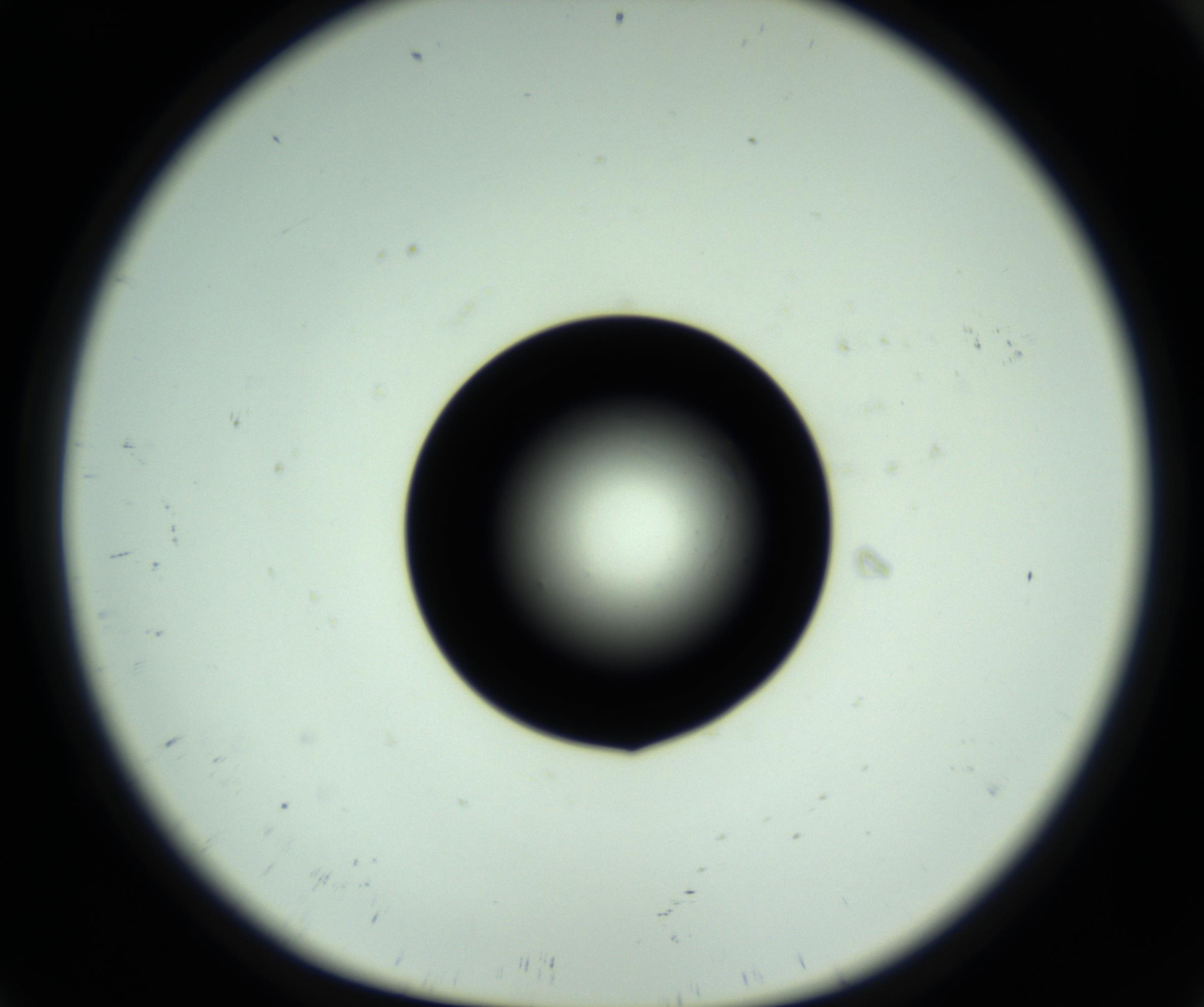 RI01_03_000_0212_Proj1_Clon1_MC_0000MC102810_006_161013_09_01_01_00_98_002_001_RAI.jpg