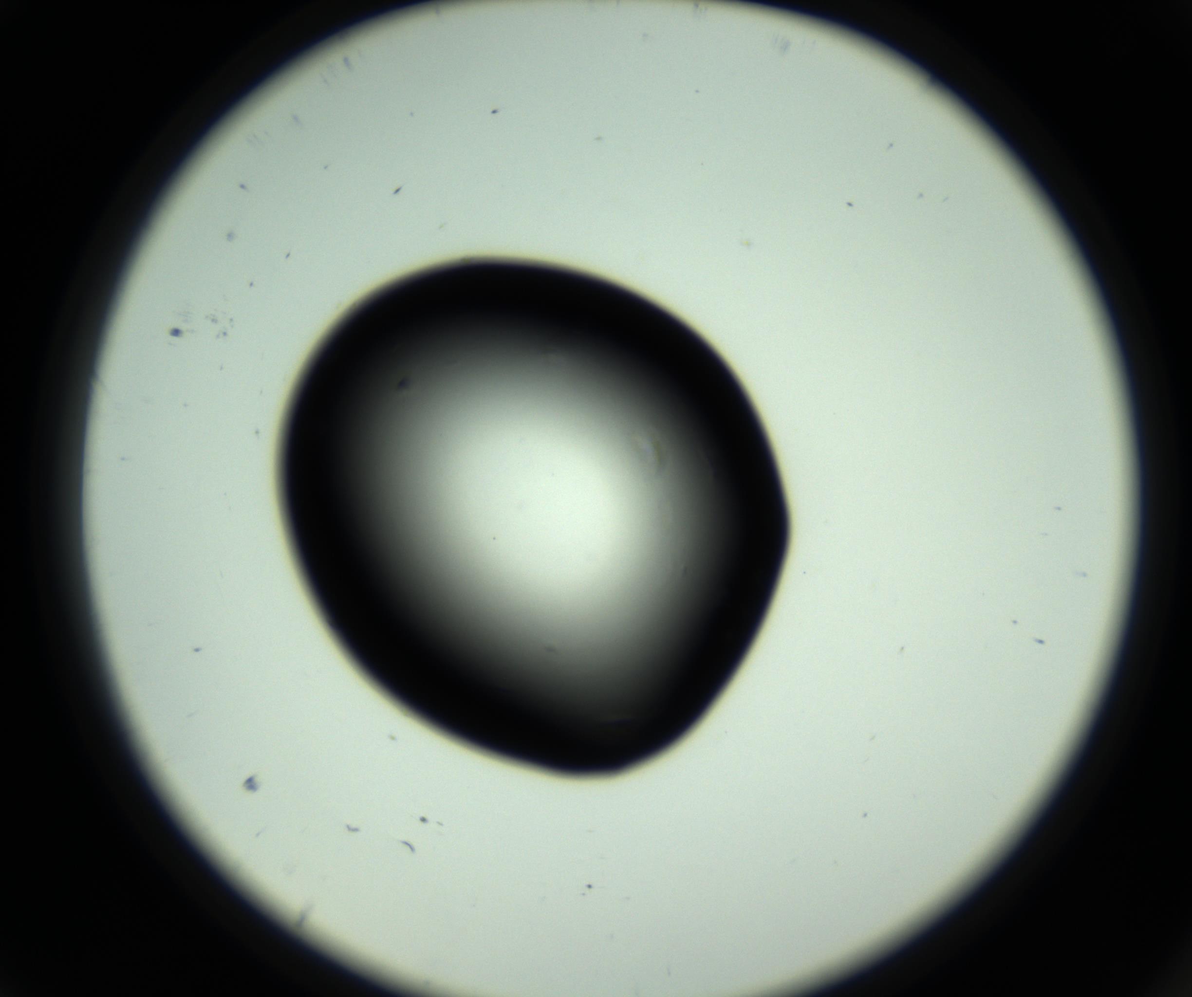 RI01_03_000_0212_Proj1_Clon1_MC_0000MC102810_006_161013_09_01_02_00_98_002_001_RAI.jpg