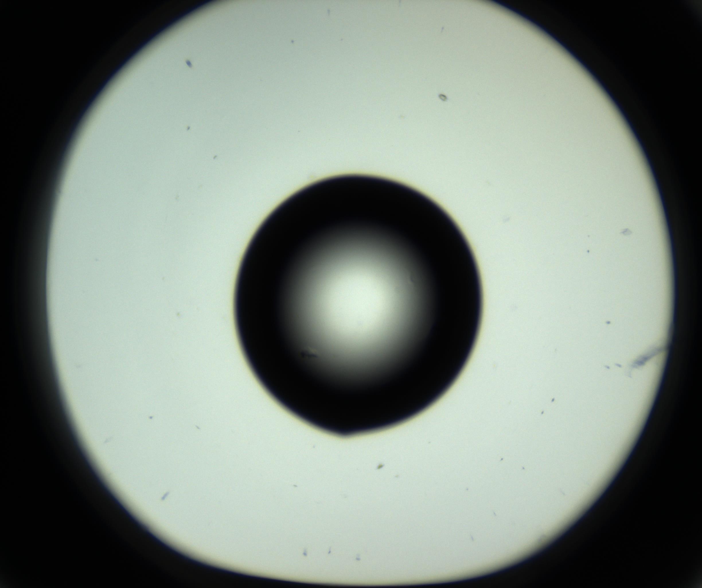 RI01_03_000_0212_Proj1_Clon1_MC_0000MC102810_006_161013_09_03_01_00_98_002_001_RAI.jpg