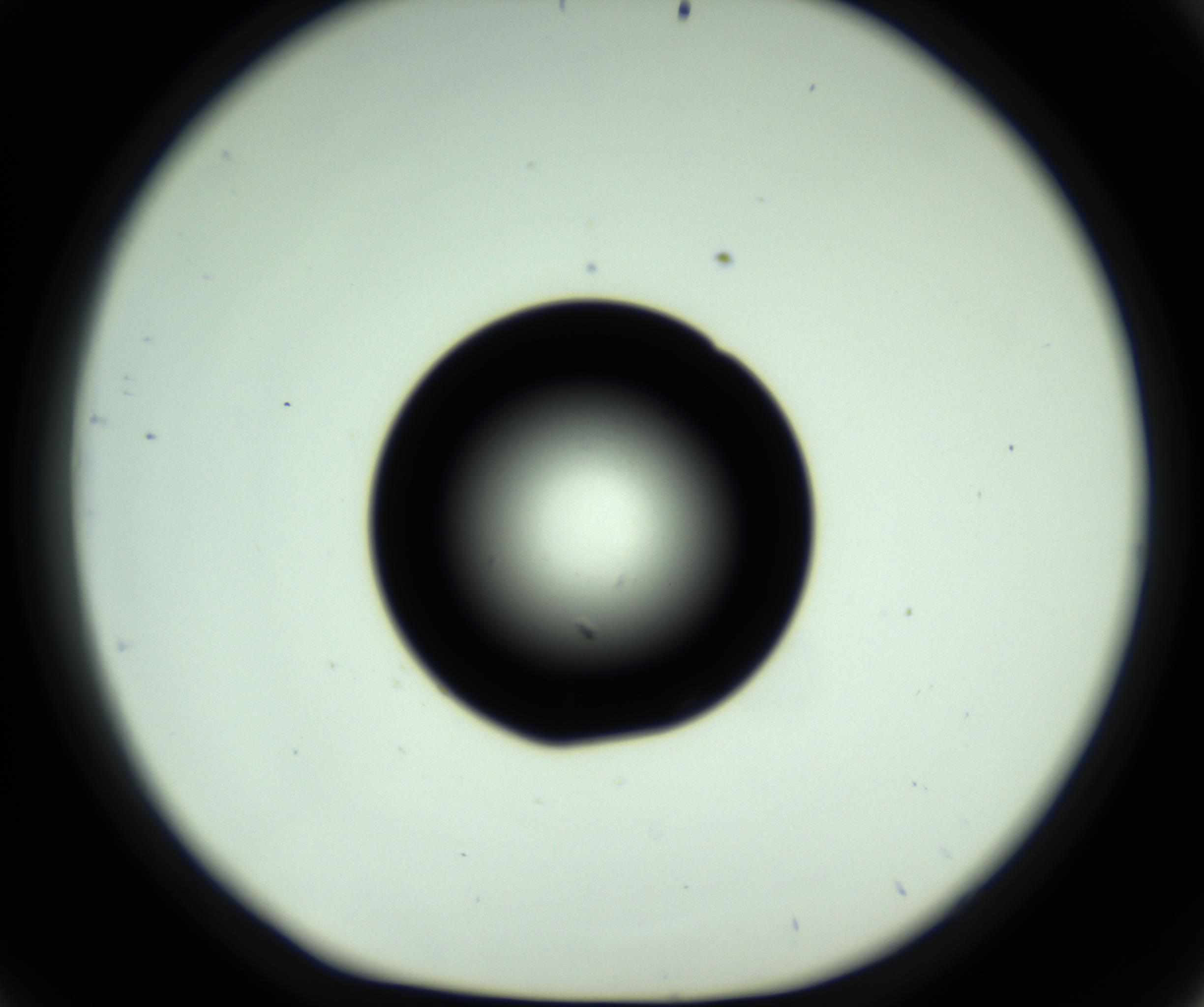 RI01_03_000_0212_Proj1_Clon1_MC_0000MC102810_006_161013_09_04_01_00_98_002_001_RAI.jpg