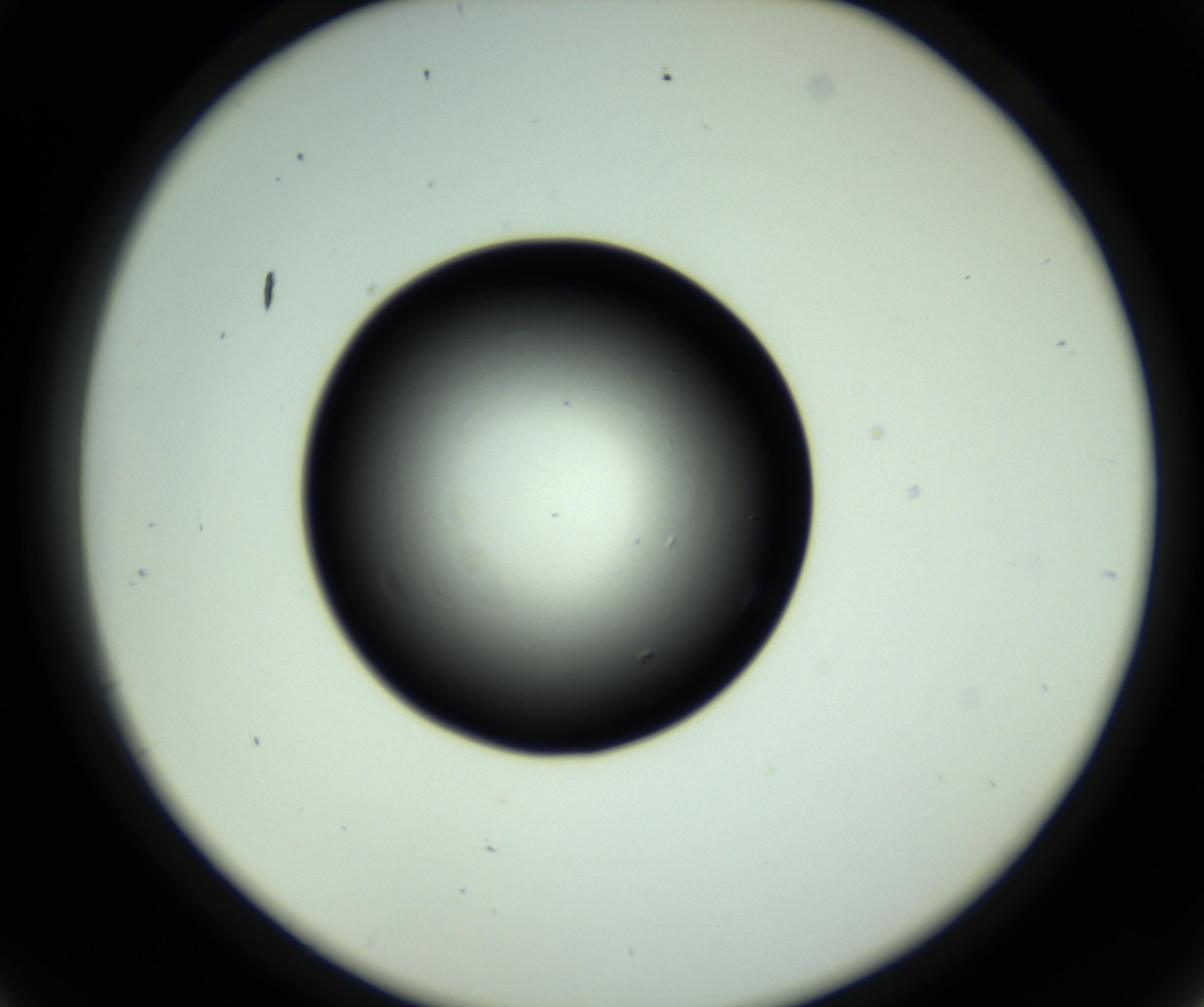 RI01_03_000_0212_Proj1_Clon1_MC_0000MC102810_006_161013_09_04_02_00_98_002_001_RAI.jpg