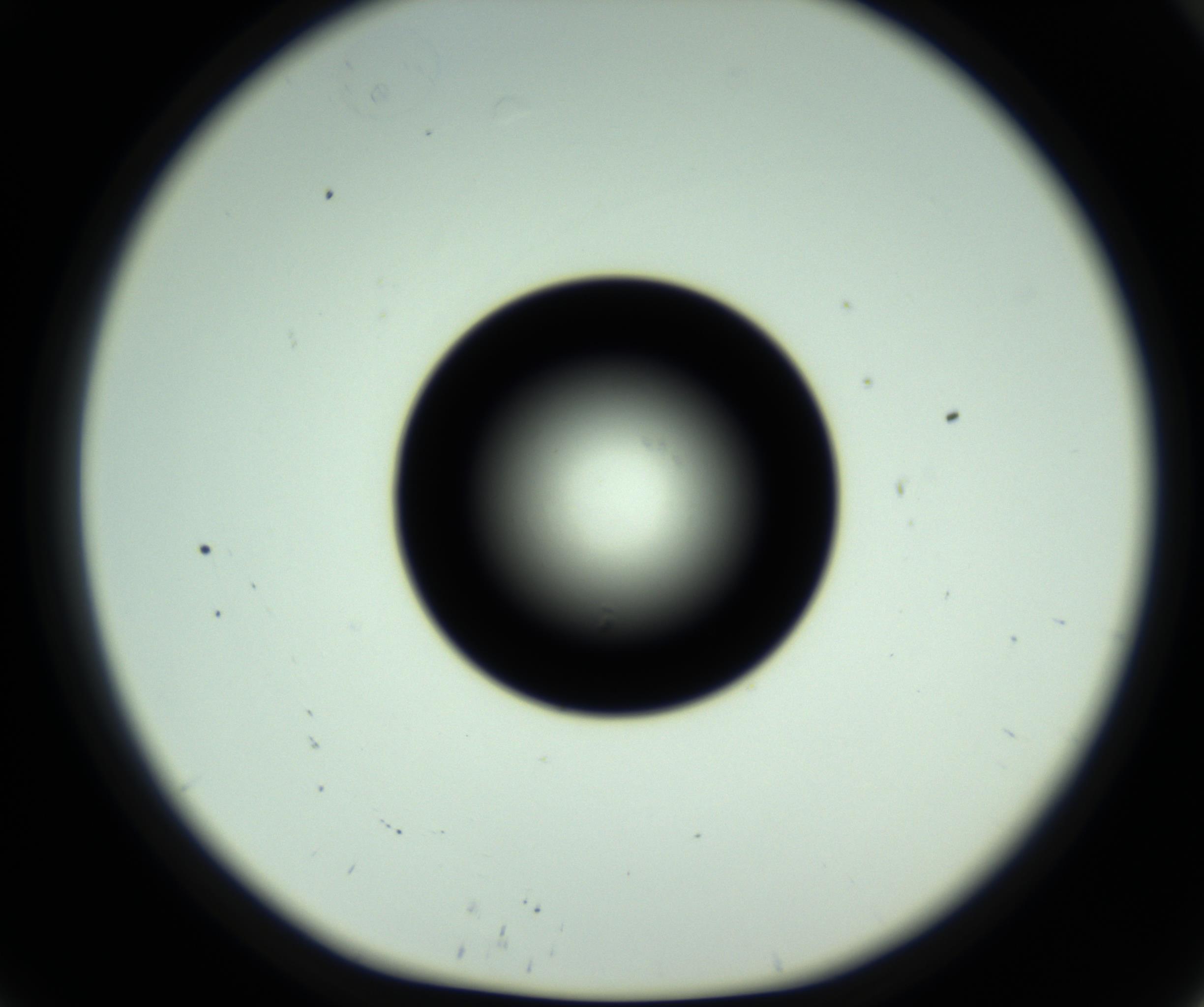 RI01_03_000_0212_Proj1_Clon1_MC_0000MC102810_006_161013_09_05_01_00_98_002_001_RAI.jpg