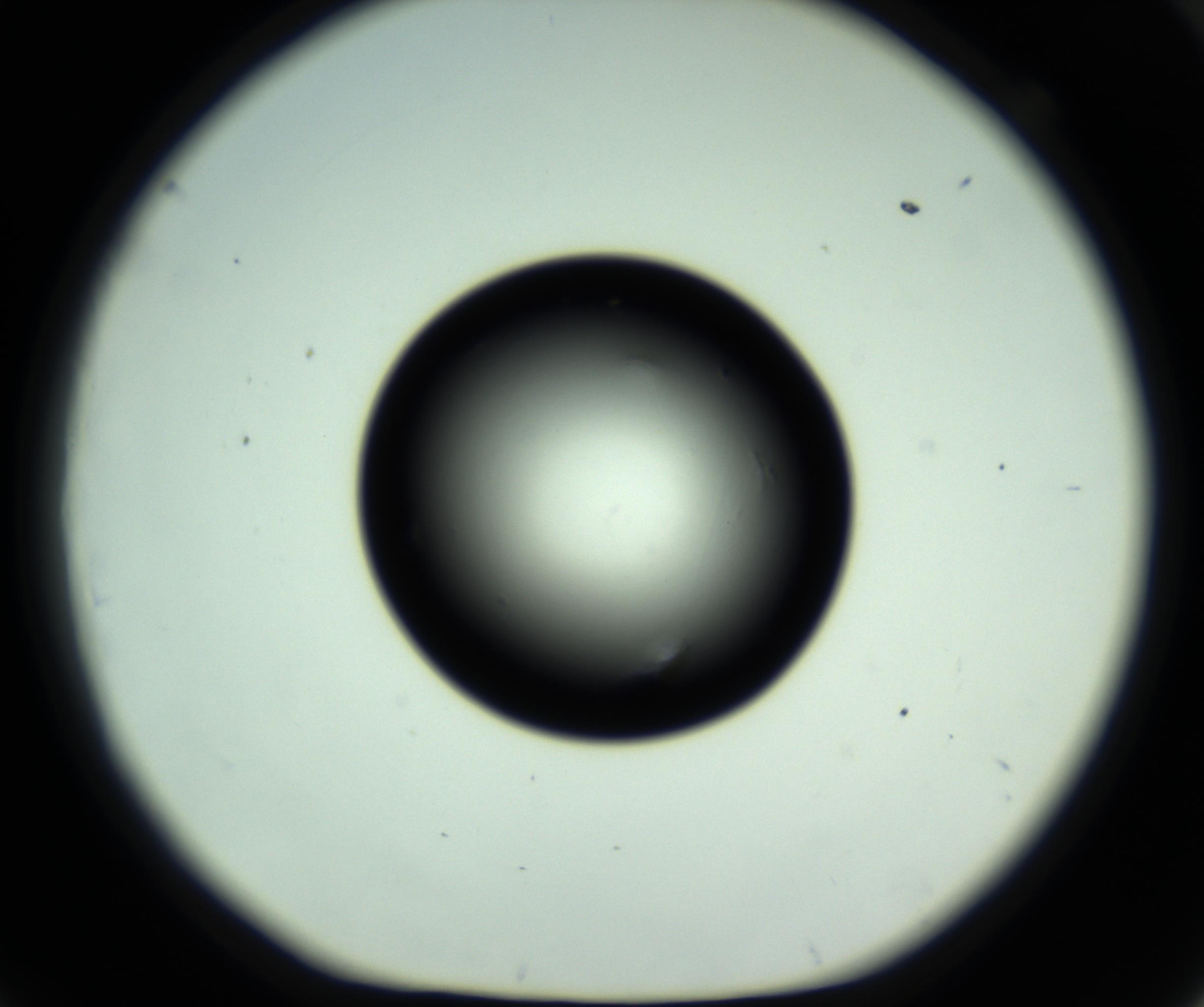 RI01_03_000_0212_Proj1_Clon1_MC_0000MC102810_006_161013_09_06_01_00_98_002_001_RAI.jpg