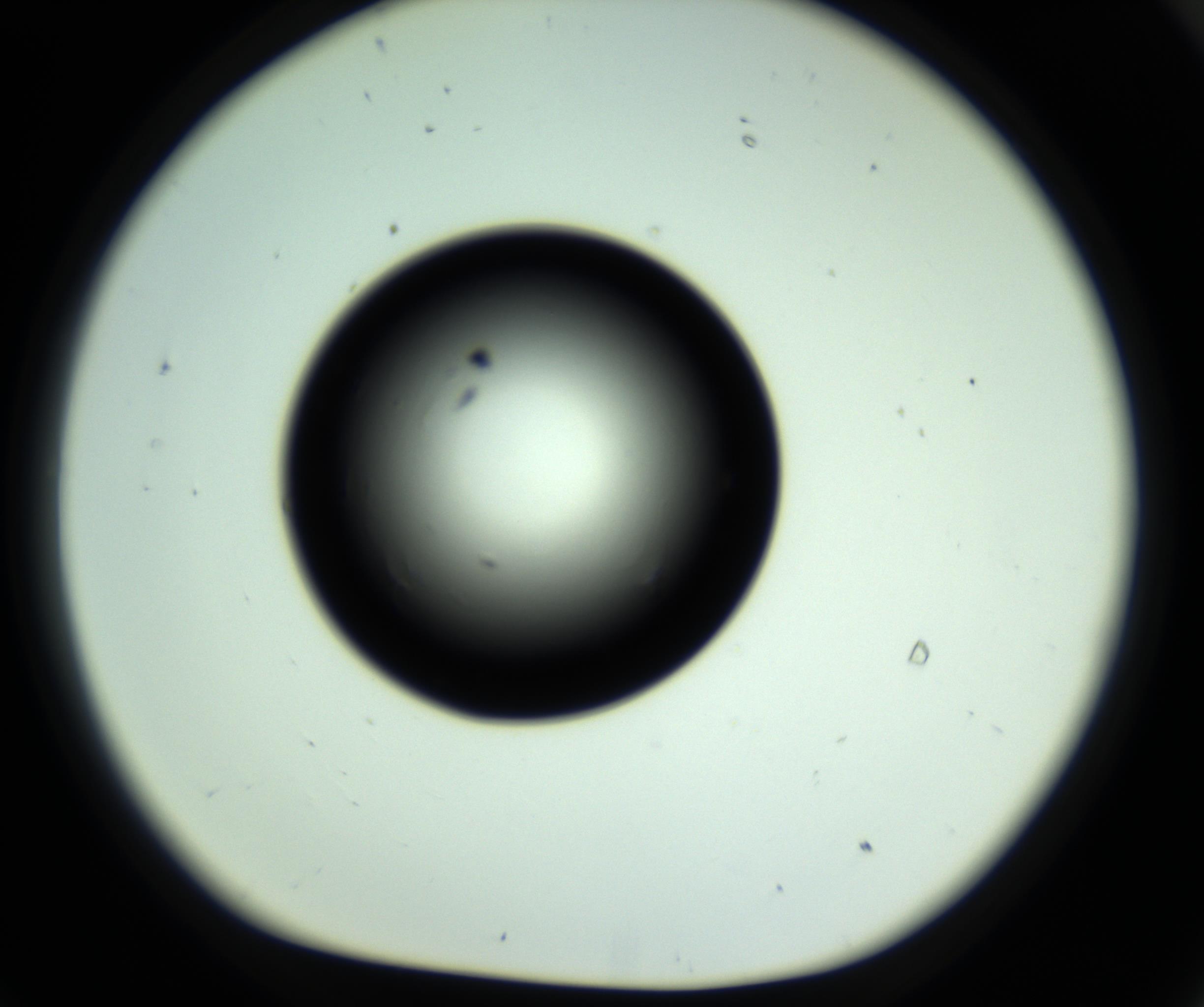RI01_03_000_0212_Proj1_Clon1_MC_0000MC102810_006_161013_09_07_01_00_98_002_001_RAI.jpg