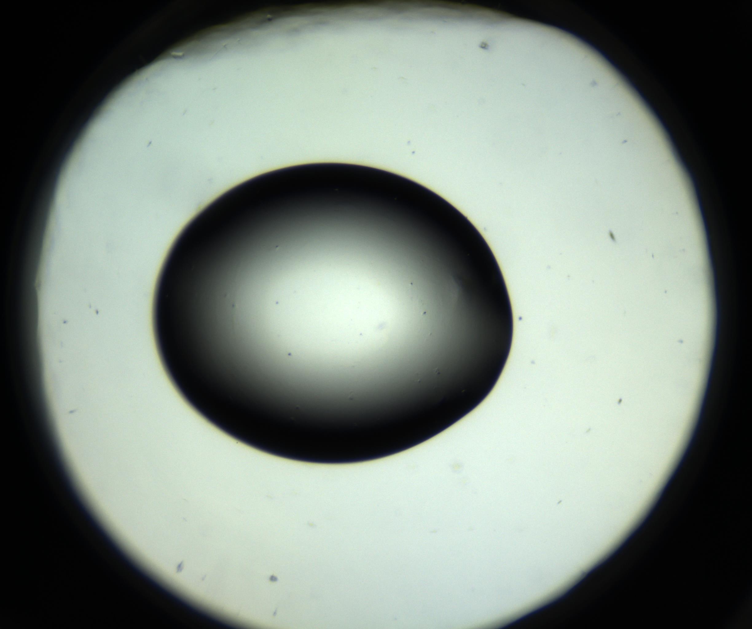 RI01_03_000_0212_Proj1_Clon1_MC_0000MC102810_006_161013_09_07_02_00_98_002_001_RAI.jpg