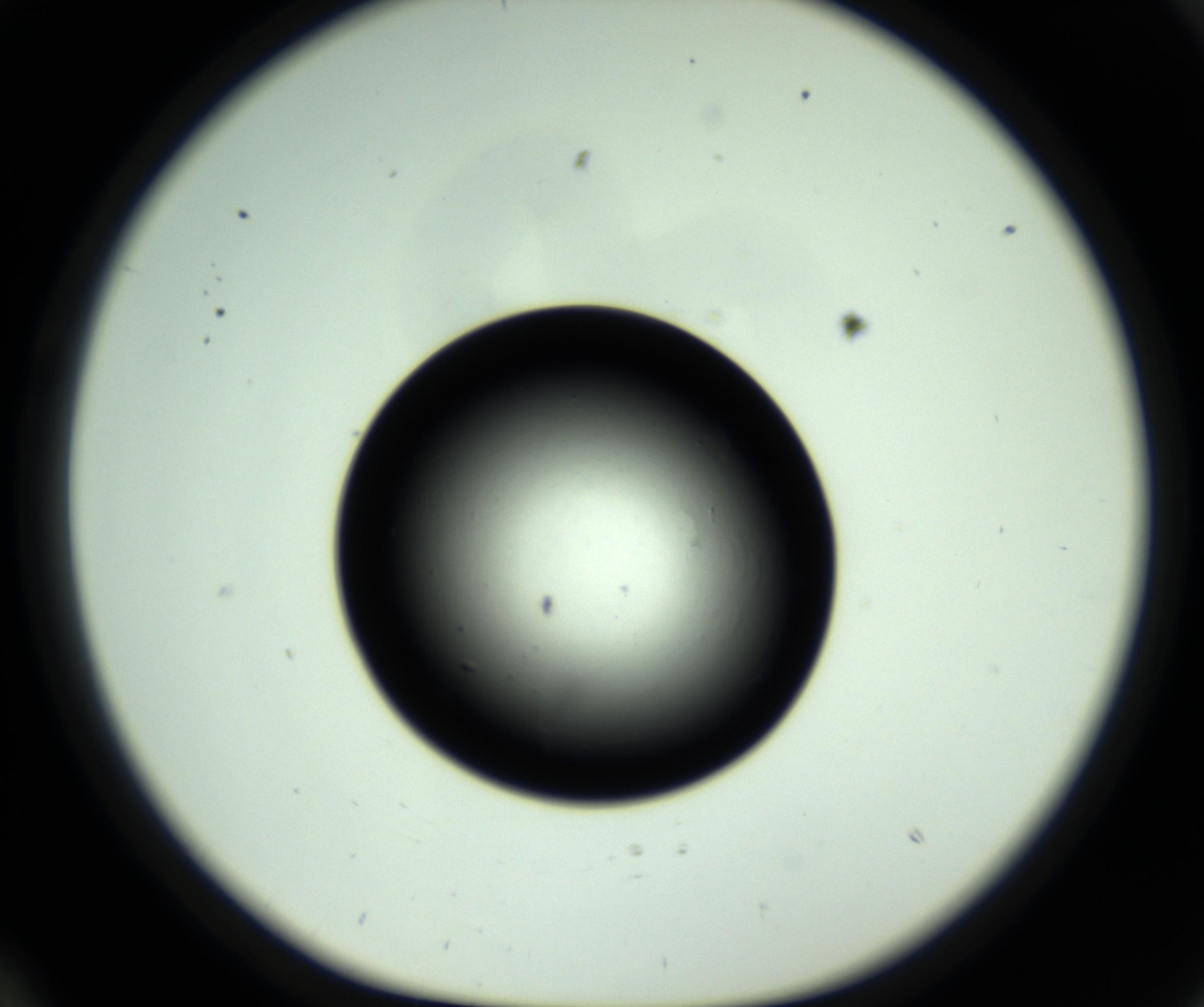 RI01_03_000_0212_Proj1_Clon1_MC_0000MC102810_006_161013_10_02_01_00_98_002_001_RAI.jpg
