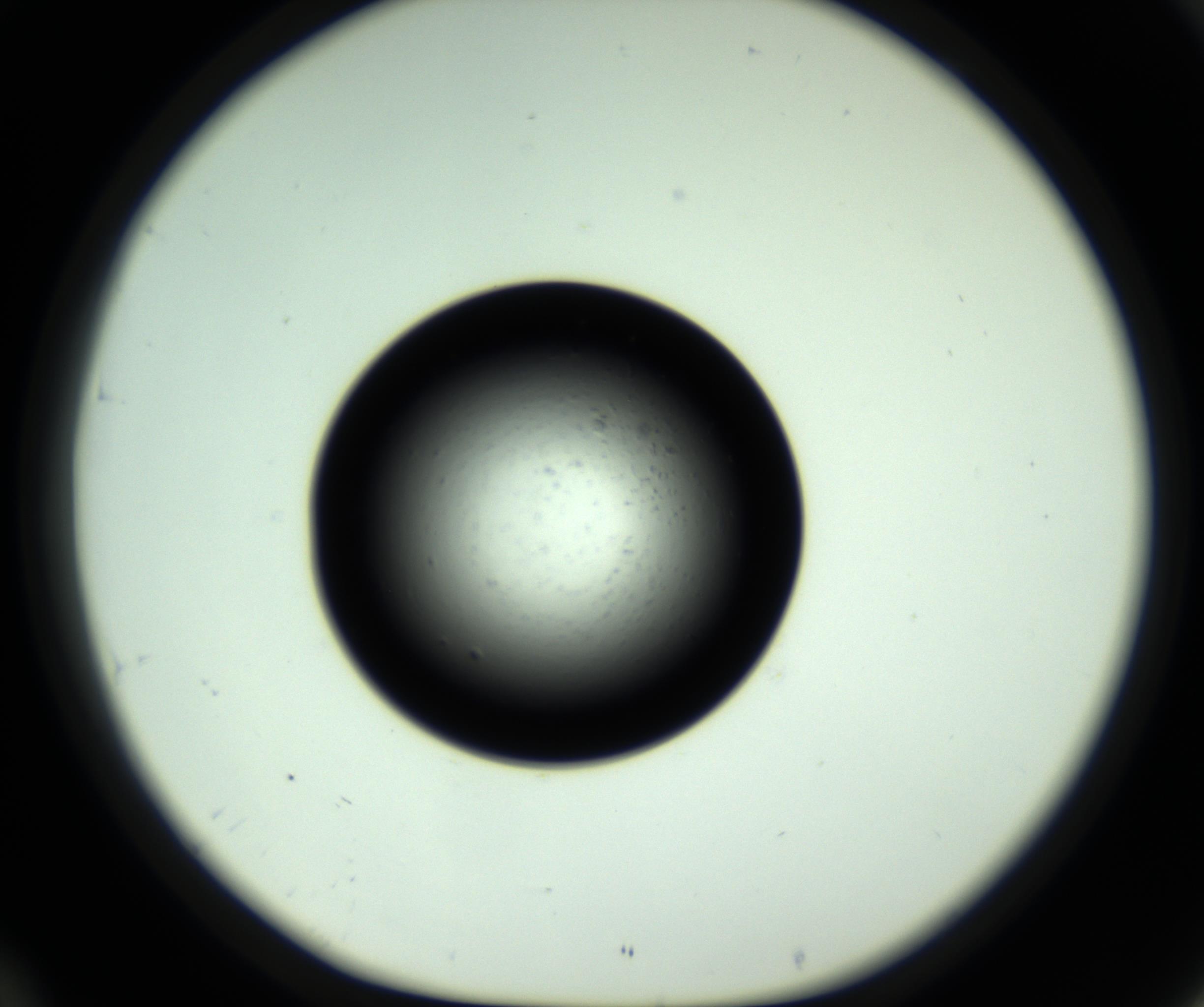 RI01_03_000_0212_Proj1_Clon1_MC_0000MC102810_006_161013_10_04_01_00_98_002_001_RAI.jpg