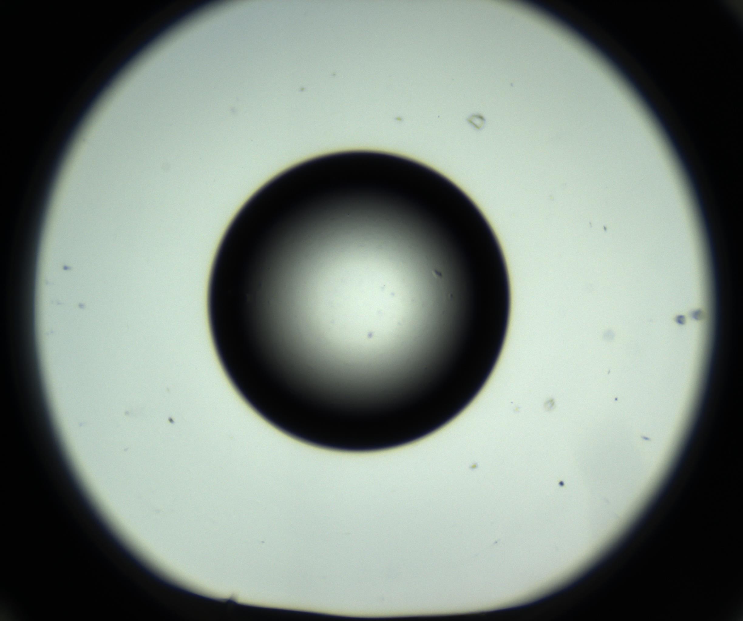 RI01_03_000_0212_Proj1_Clon1_MC_0000MC102810_006_161013_10_06_01_00_98_002_001_RAI.jpg