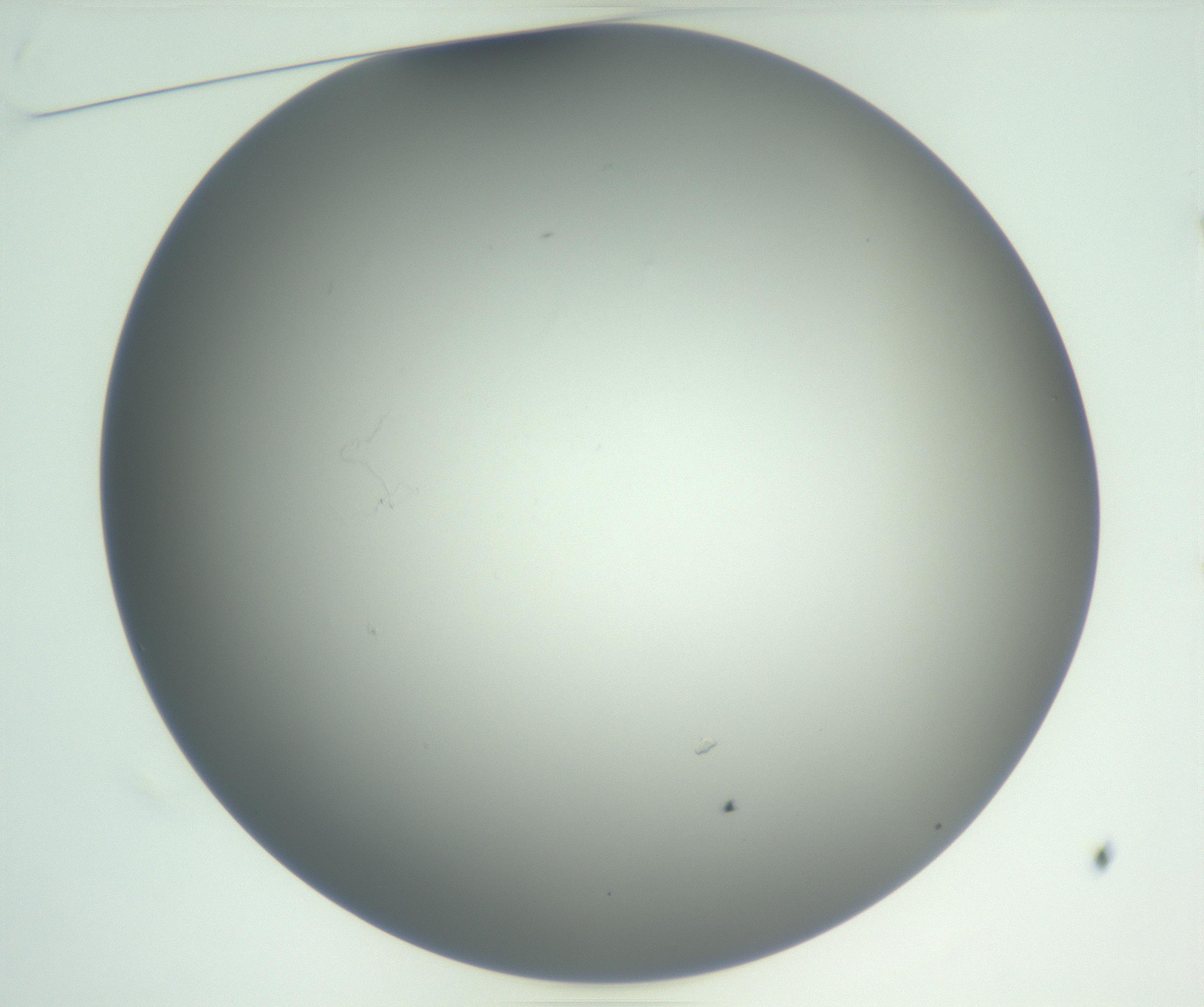 RI01_03_000_0212_Proj1_Clon1_MC_0000MC102810_007_161017_01_01_01_00_99_002_001_RAI.jpg