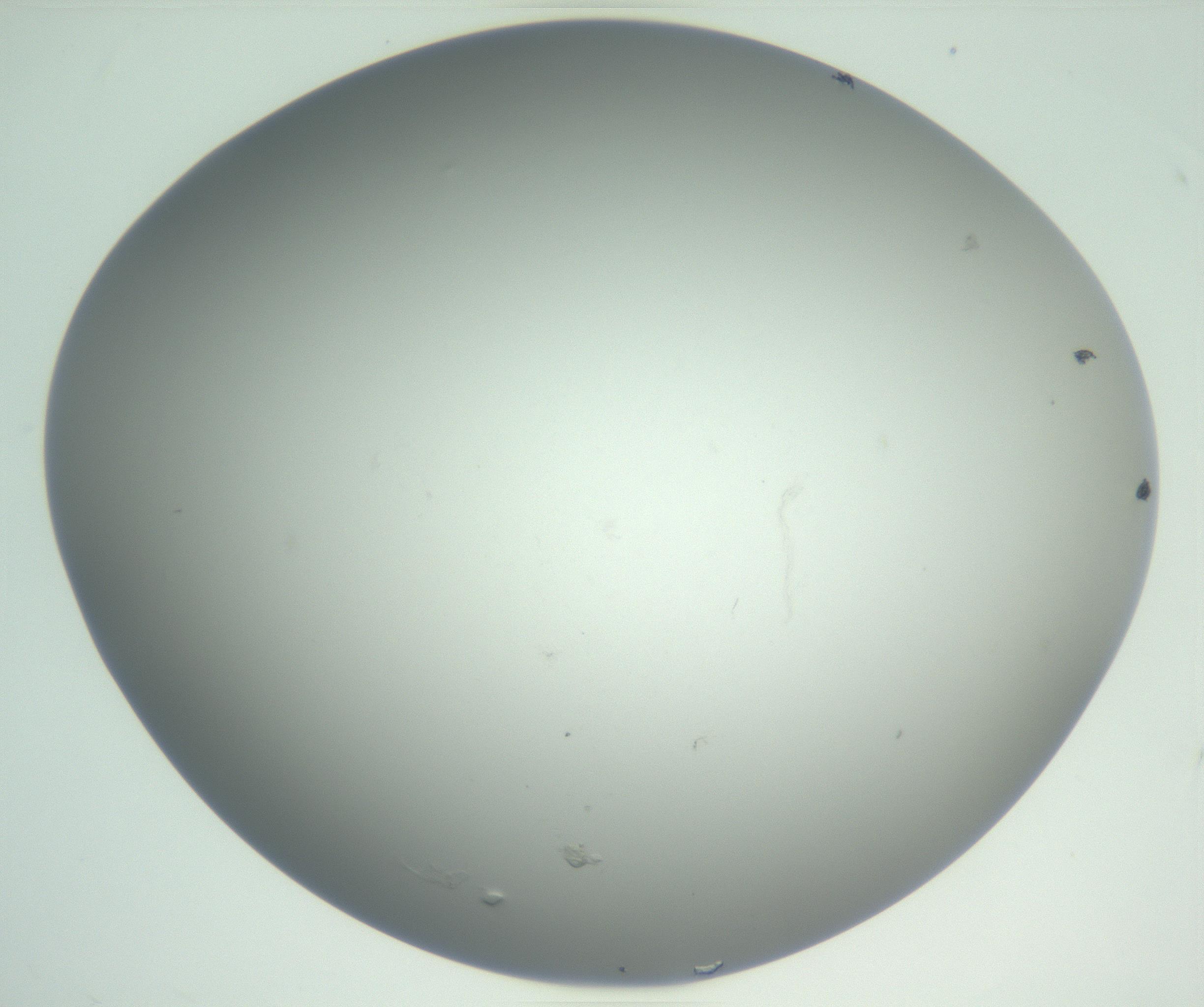 RI01_03_000_0212_Proj1_Clon1_MC_0000MC102810_007_161017_01_01_02_00_99_002_001_RAI.jpg