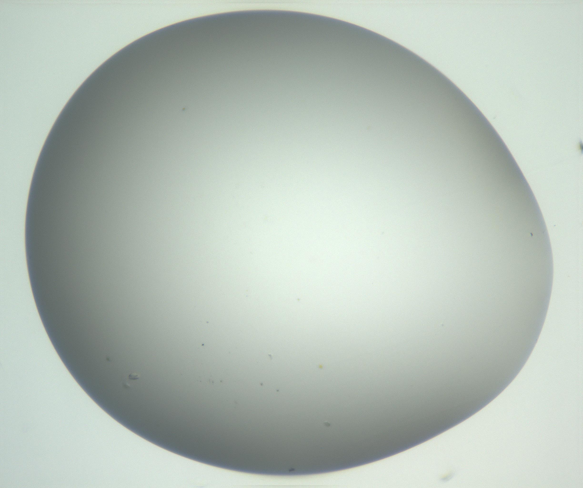 RI01_03_000_0212_Proj1_Clon1_MC_0000MC102810_007_161017_01_02_01_00_99_002_001_RAI.jpg