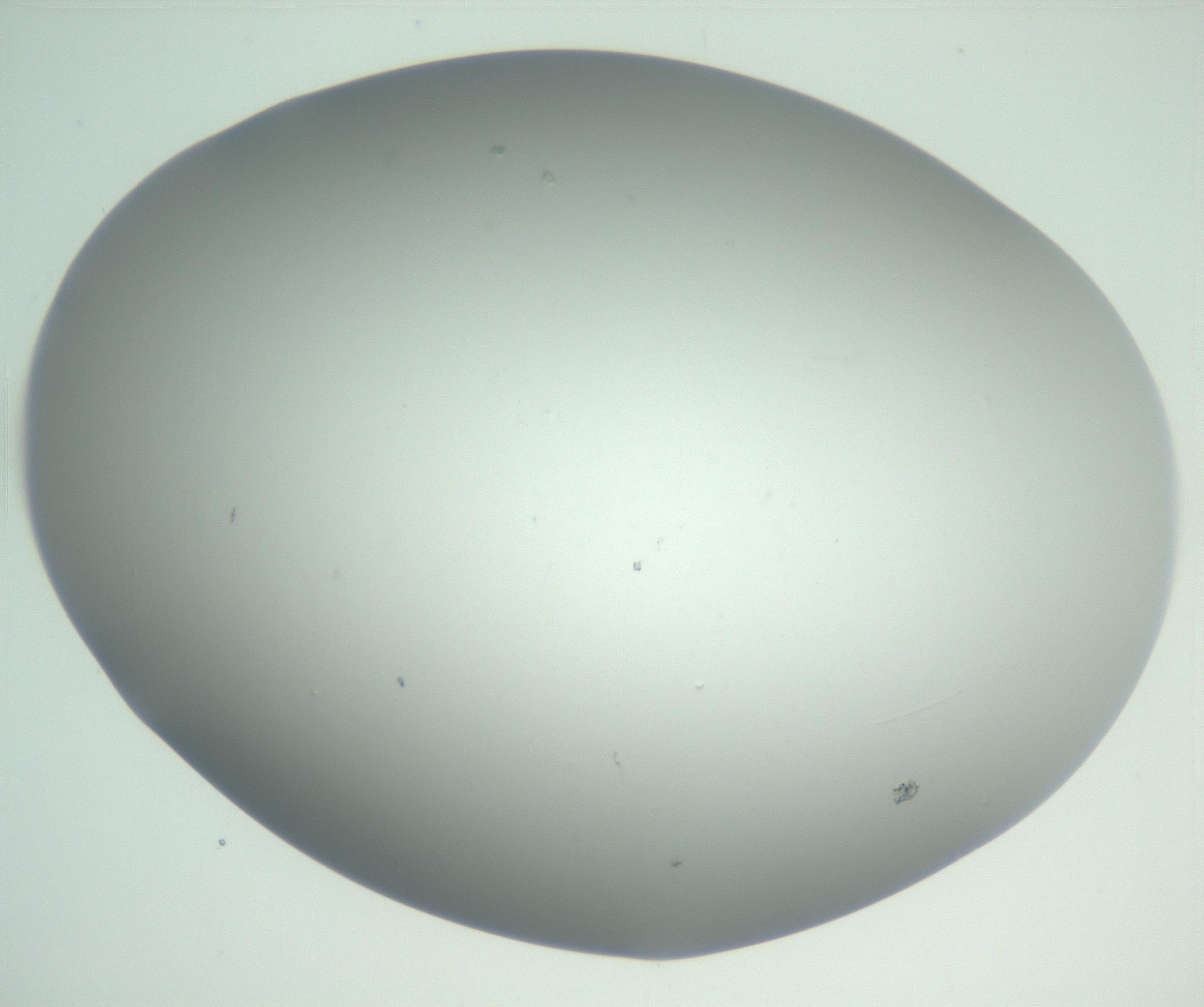 RI01_03_000_0212_Proj1_Clon1_MC_0000MC102810_007_161017_02_01_02_00_99_002_001_RAI.jpg