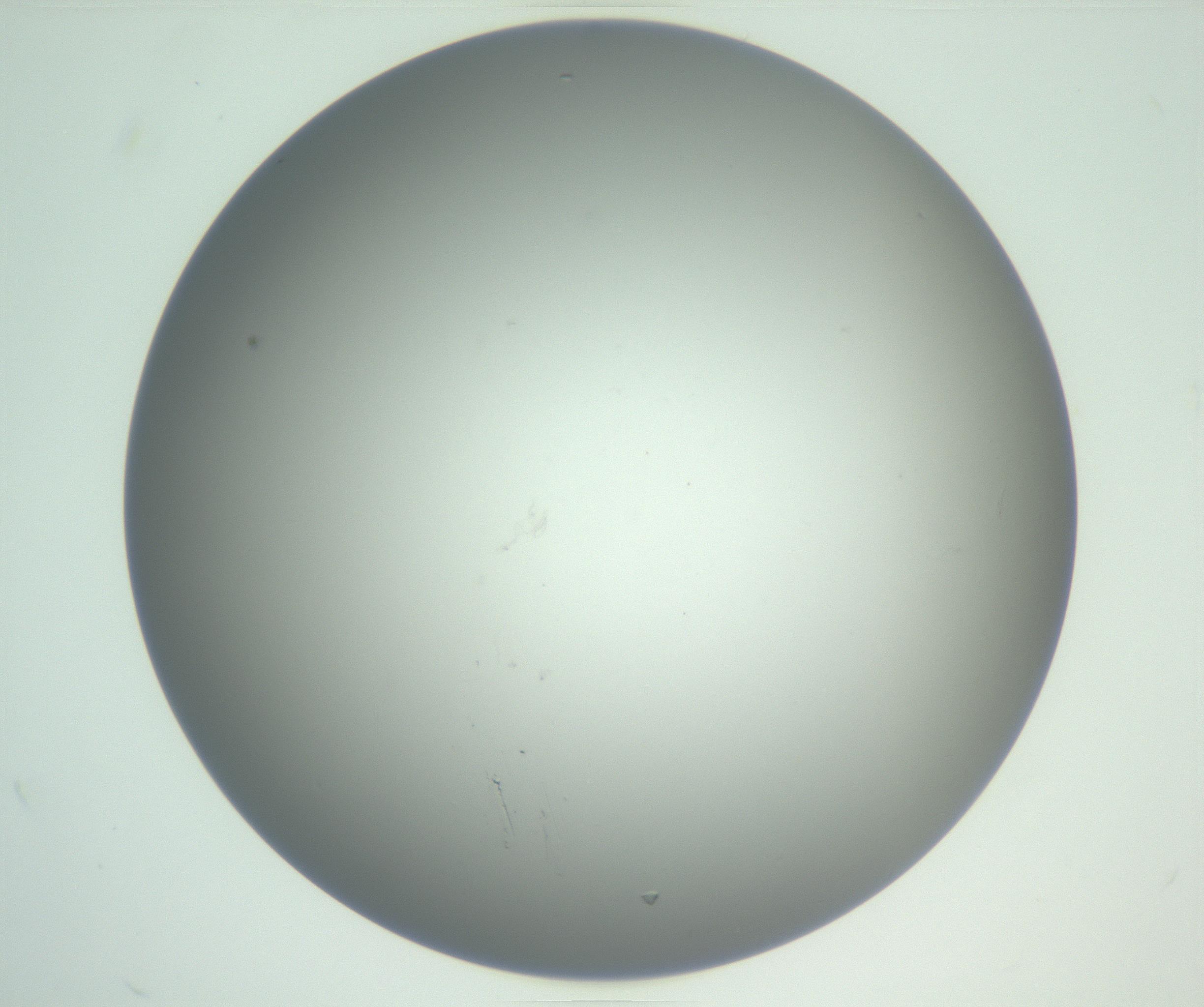 RI01_03_000_0212_Proj1_Clon1_MC_0000MC102810_007_161017_02_02_01_00_99_002_001_RAI.jpg