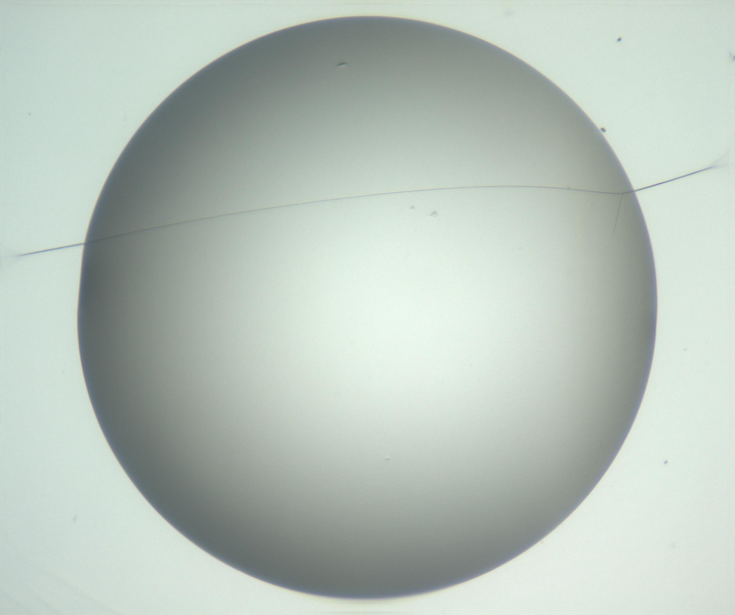 RI01_03_000_0212_Proj1_Clon1_MC_0000MC102810_007_161017_03_01_01_00_99_002_001_RAI.jpg